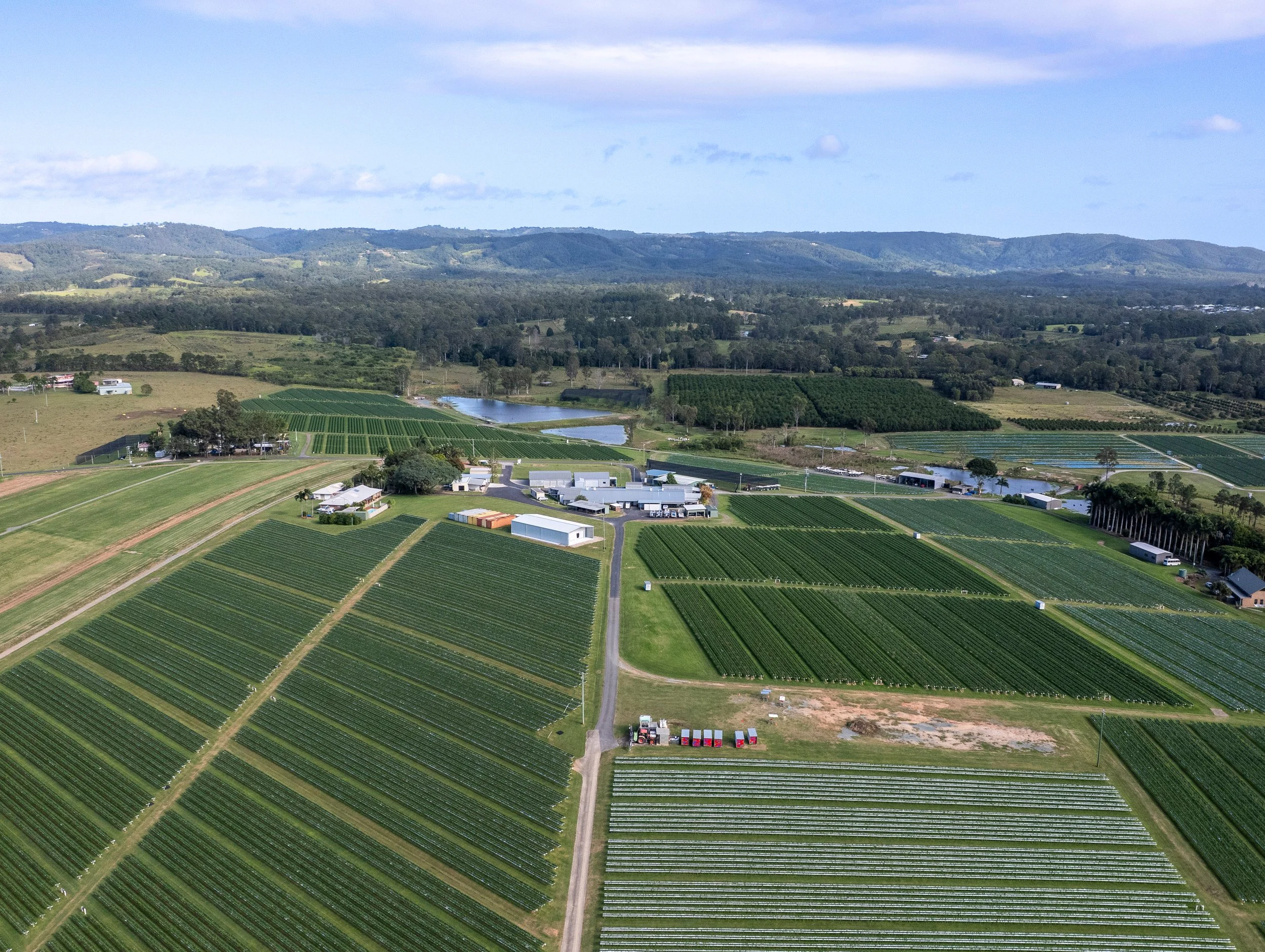 WYPI Building & Services_ TSL Family Farms_ Drone Image Shed & Farm