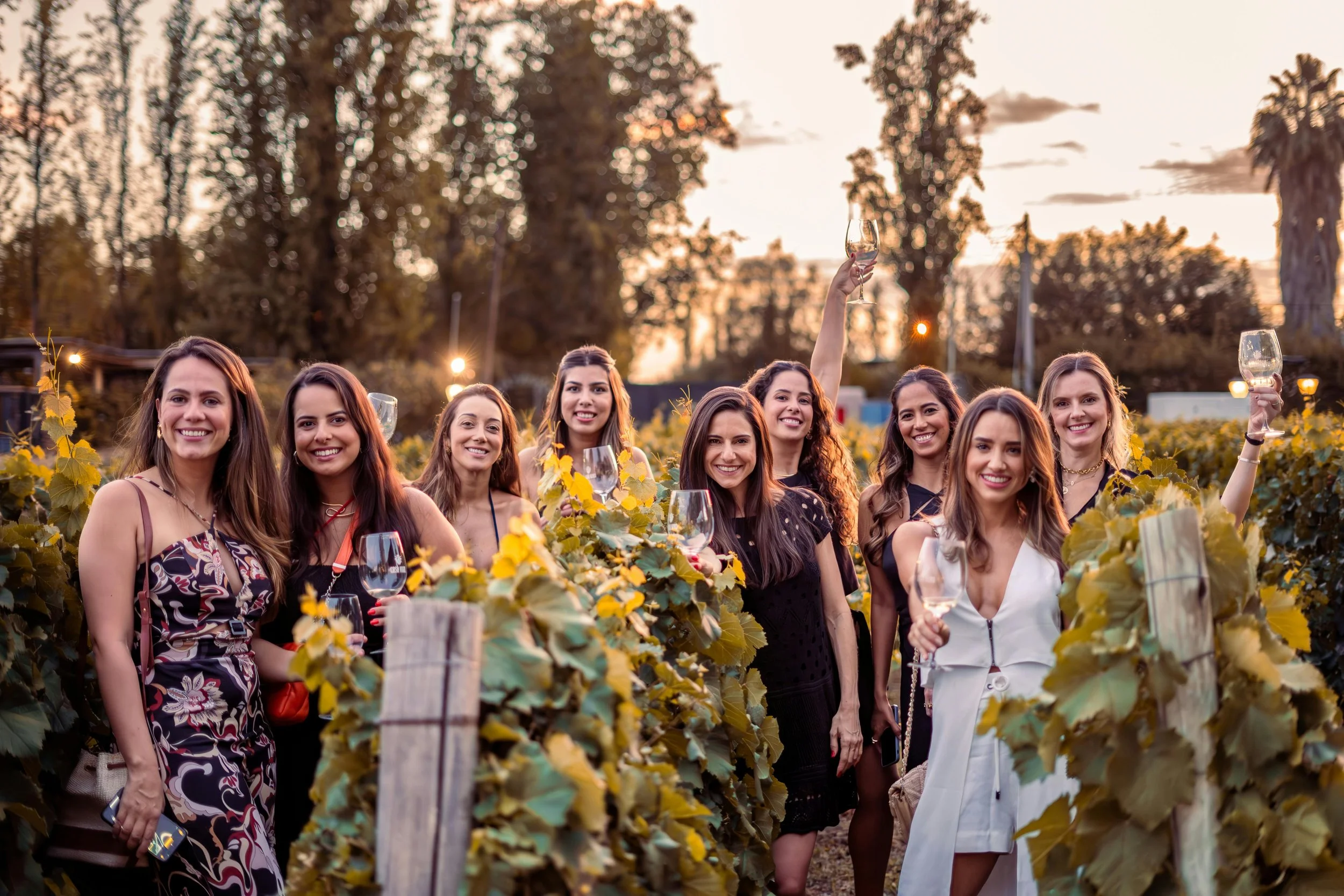 Group of women smiling and holding wine glasses in a vineyard at sunset.