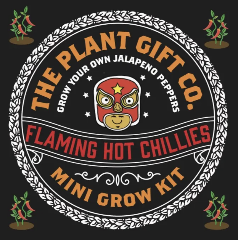 Flaming Hot Chillies. Eco Mini Chilli Grow Kit