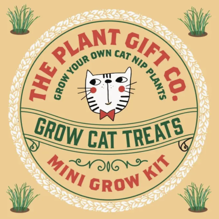 Grow Cat Treats. Cat Lovers Eco Mini-Grow-Kit