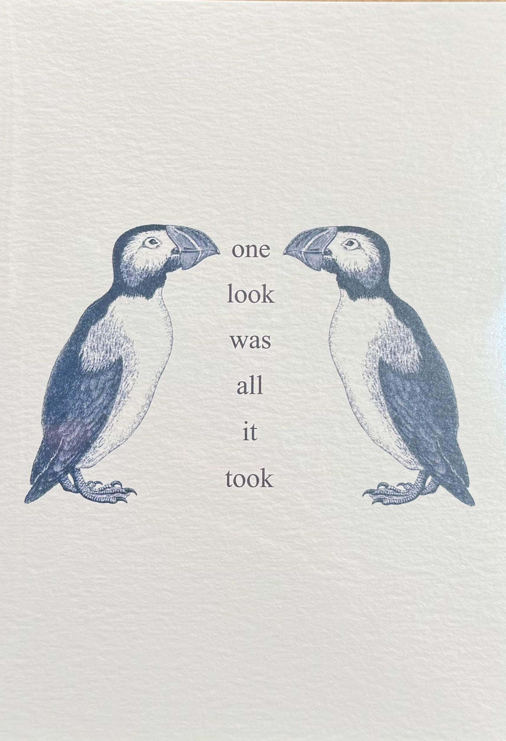 Puffin Look Card