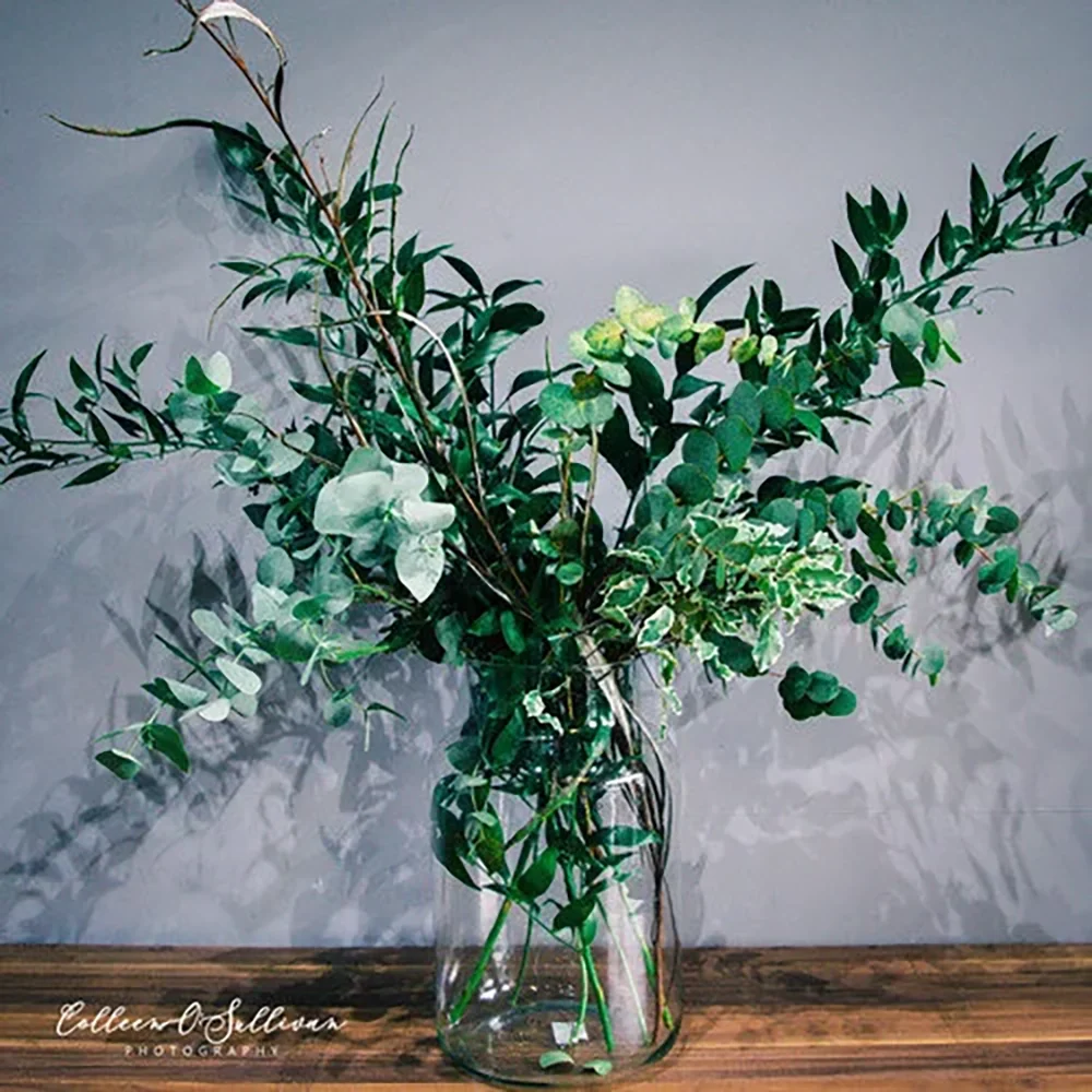 Mixed Foliage