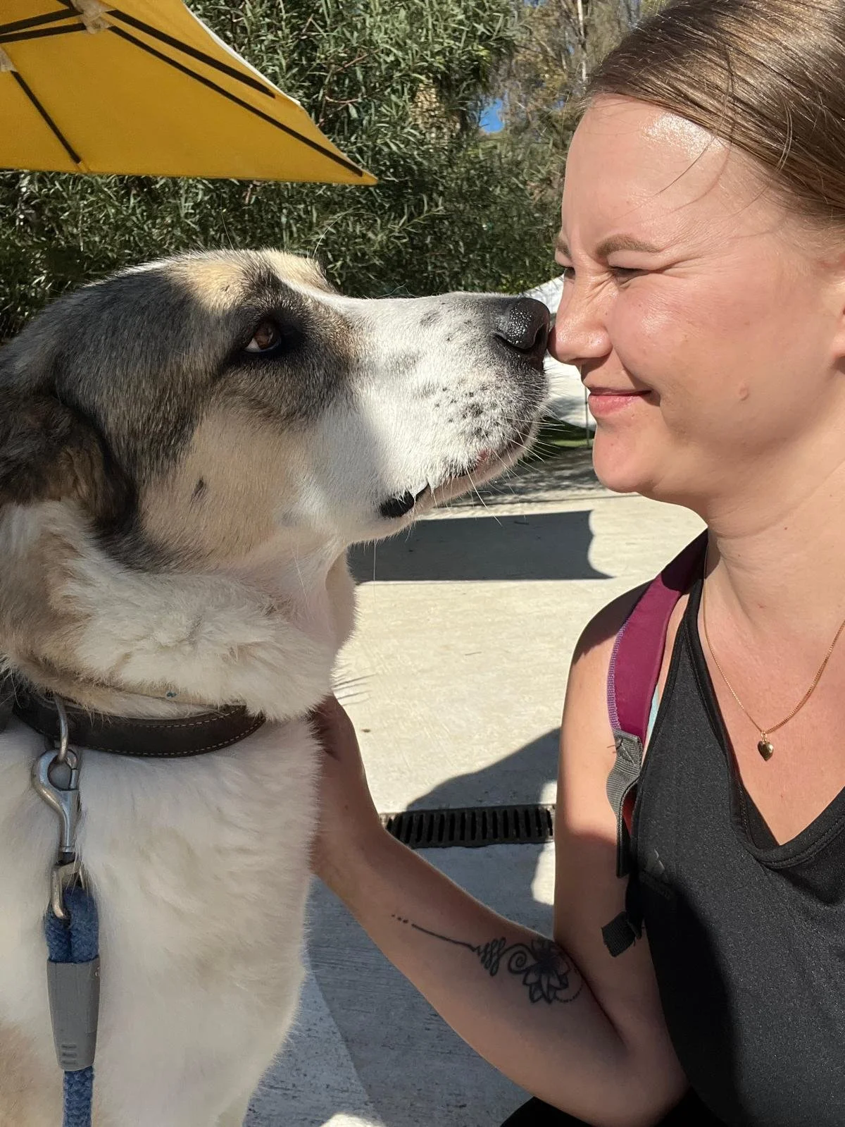 A woman wearing a black top is face to face with a large dog, both eyes closed, outdoors with sunlight, trees, and a yellow umbrella in the background.