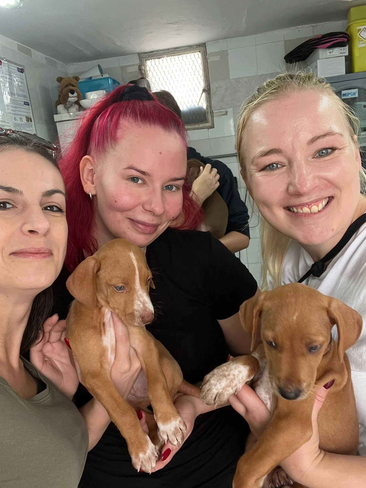 Three women are smiling and holding two puppies inside a veterinary clinic. One woman has dark hair, another has red hair, and the third has blonde hair. The puppies are brown, one with white markings, and are being held close to their faces.