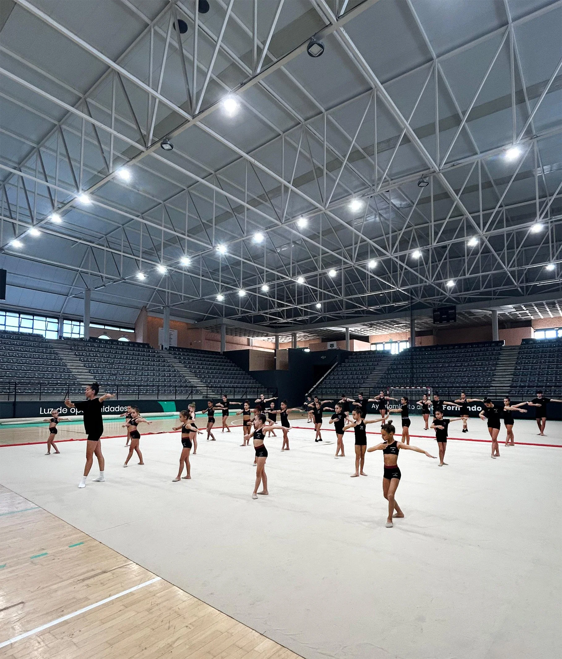 Masterclasses privadas o abiertas para gimnastas y clubes