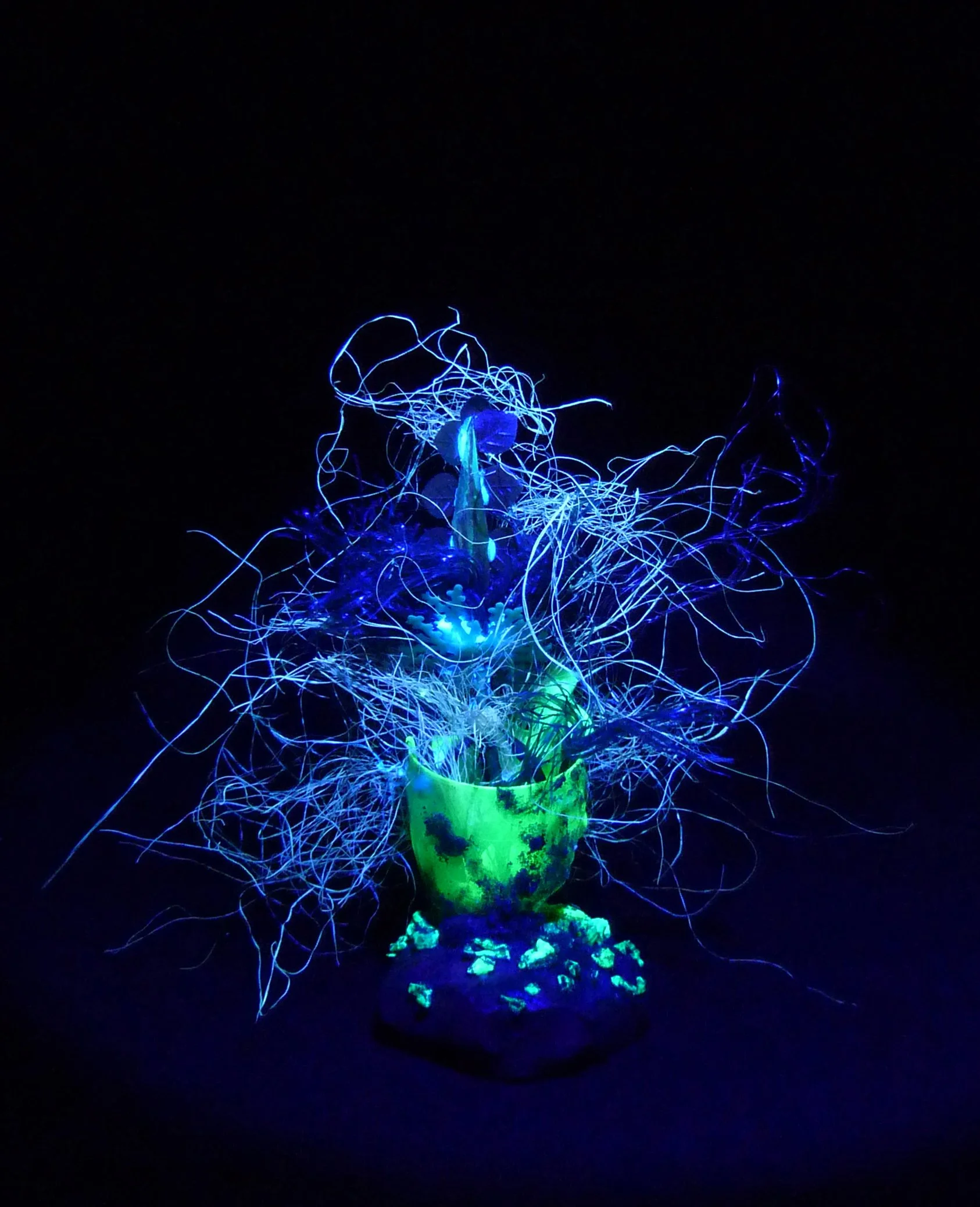  Cryptozoa , found objects & UV light, digital print, dimensions variable