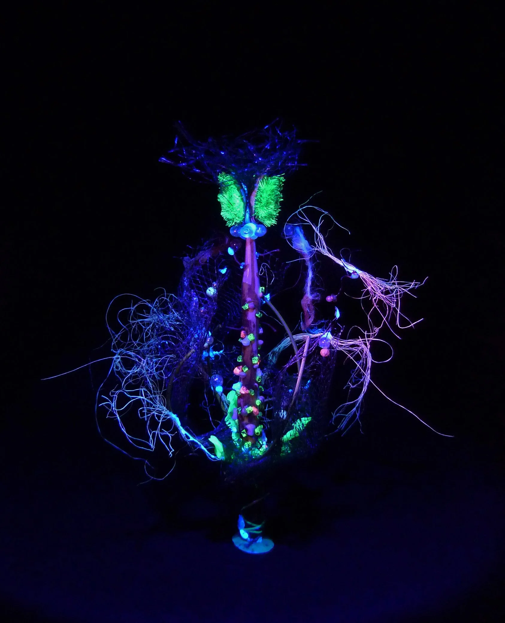  Cryptozoa VI , found objects & UV light, digital print, dimensions variable