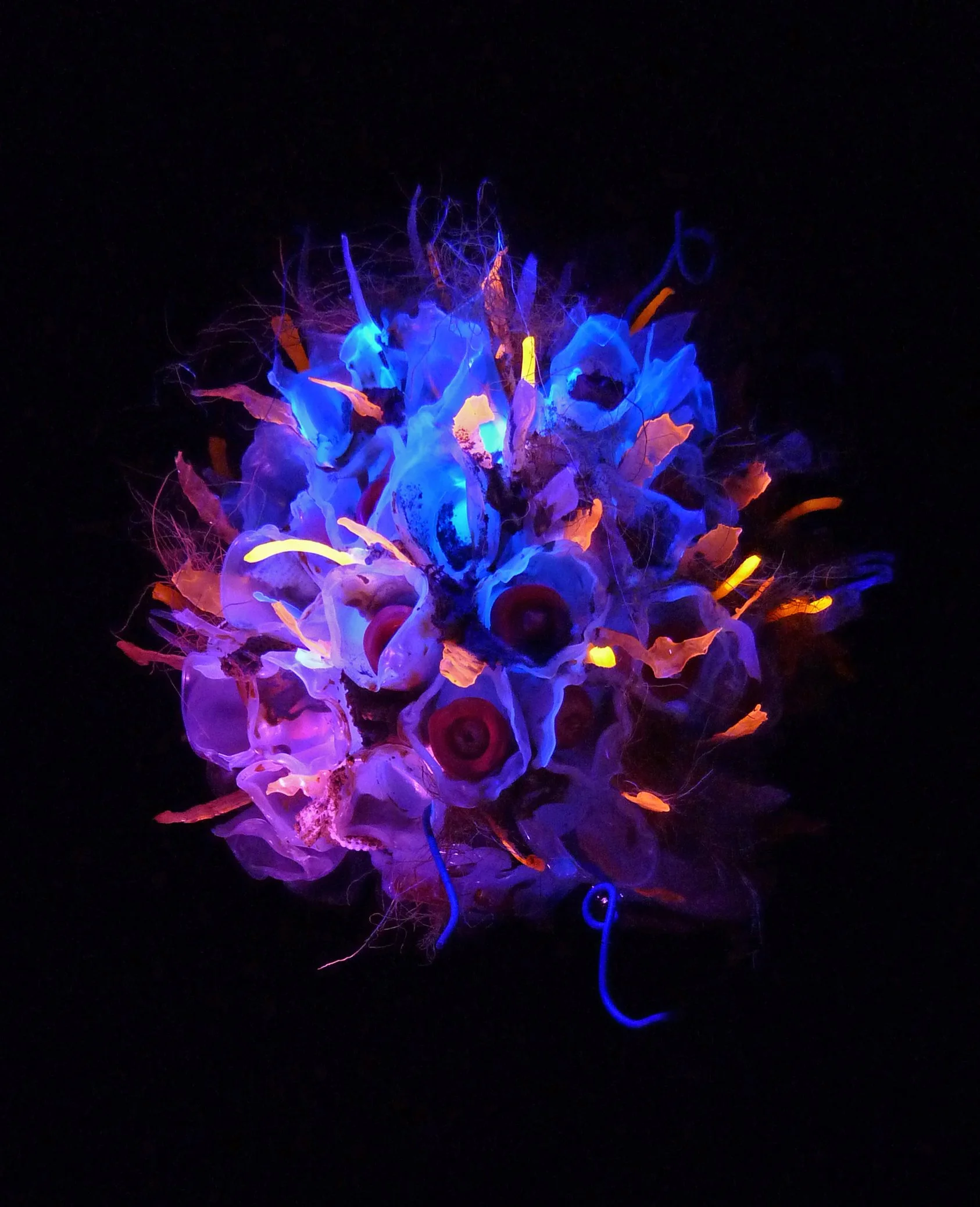  Cryptozoa IV , found objects & UV light, digital print, dimensions variable