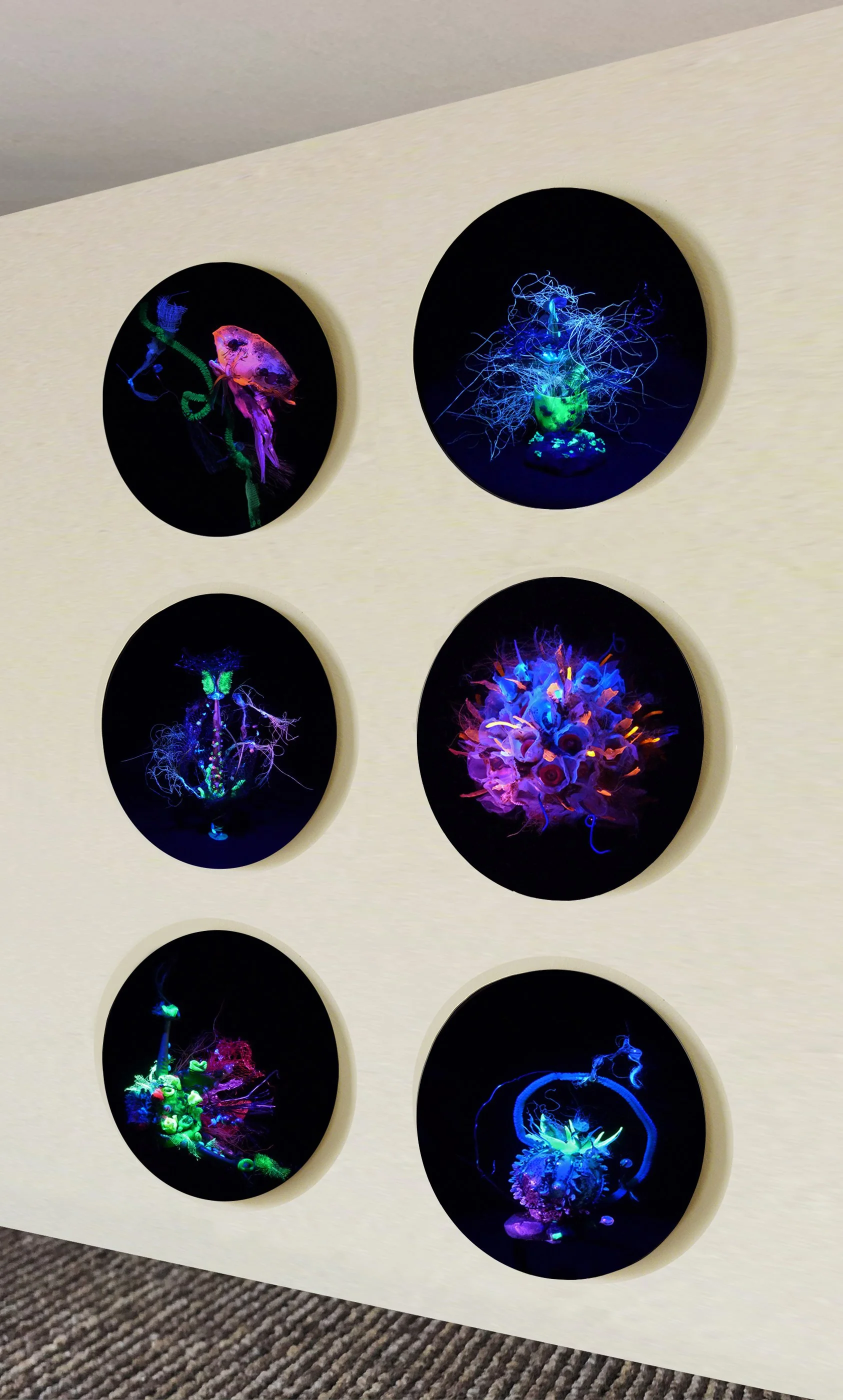  Cryptozoa  (exhibition view)