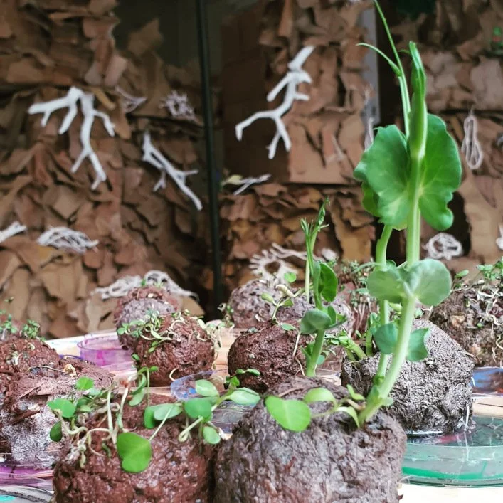 Parnassus II installation (at rear), with additional elements by Rach Anstey-Sanders