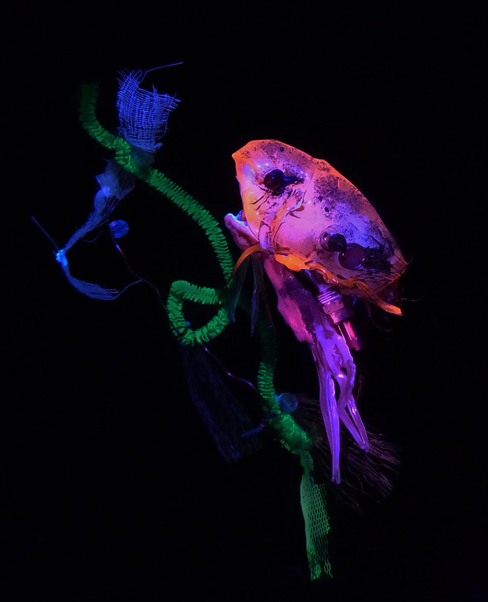  Cryptozoa III , found objects & UV light, digital print, dimensions variable