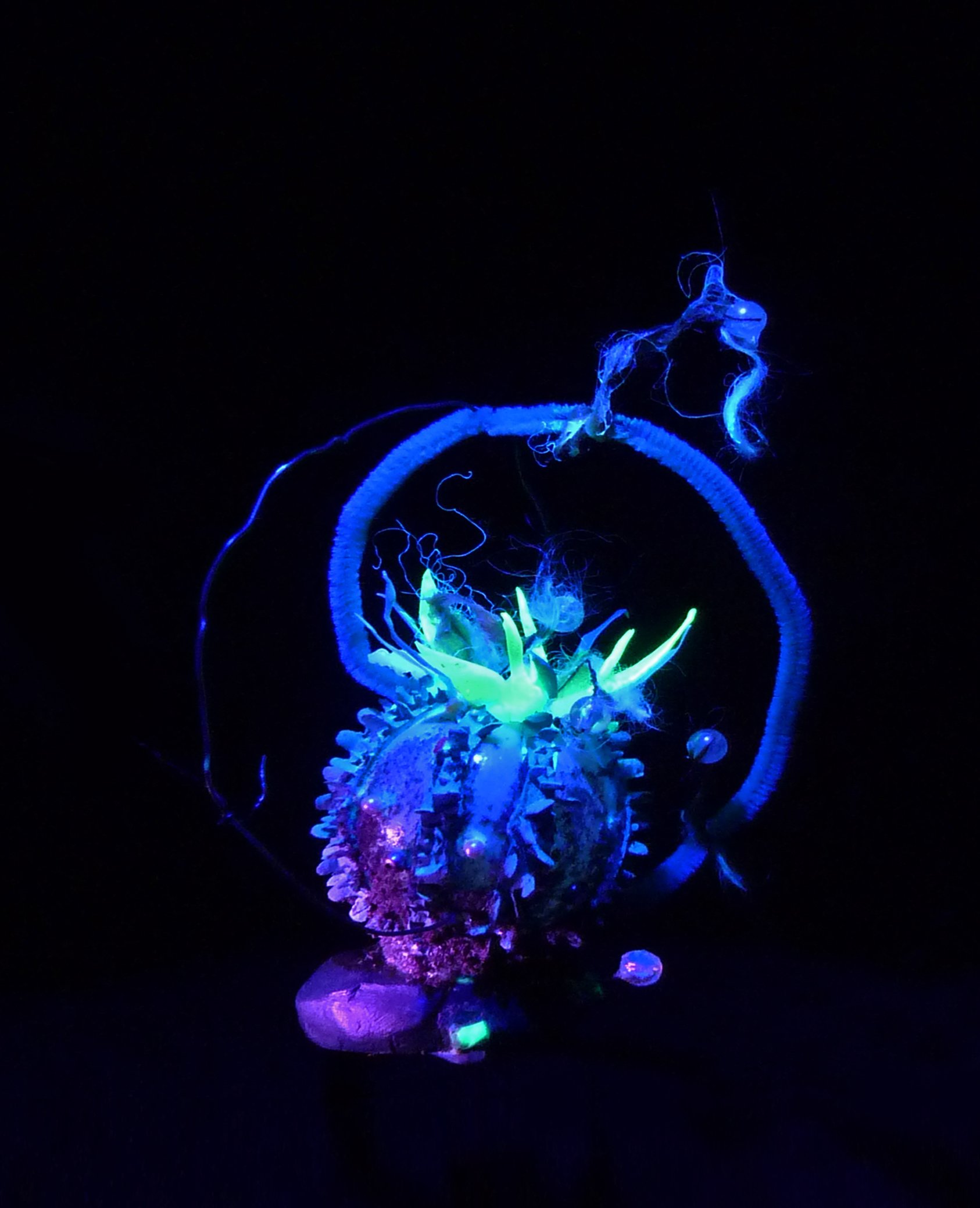  Cryptozoa V , found objects & UV light, digital print, dimensions variable