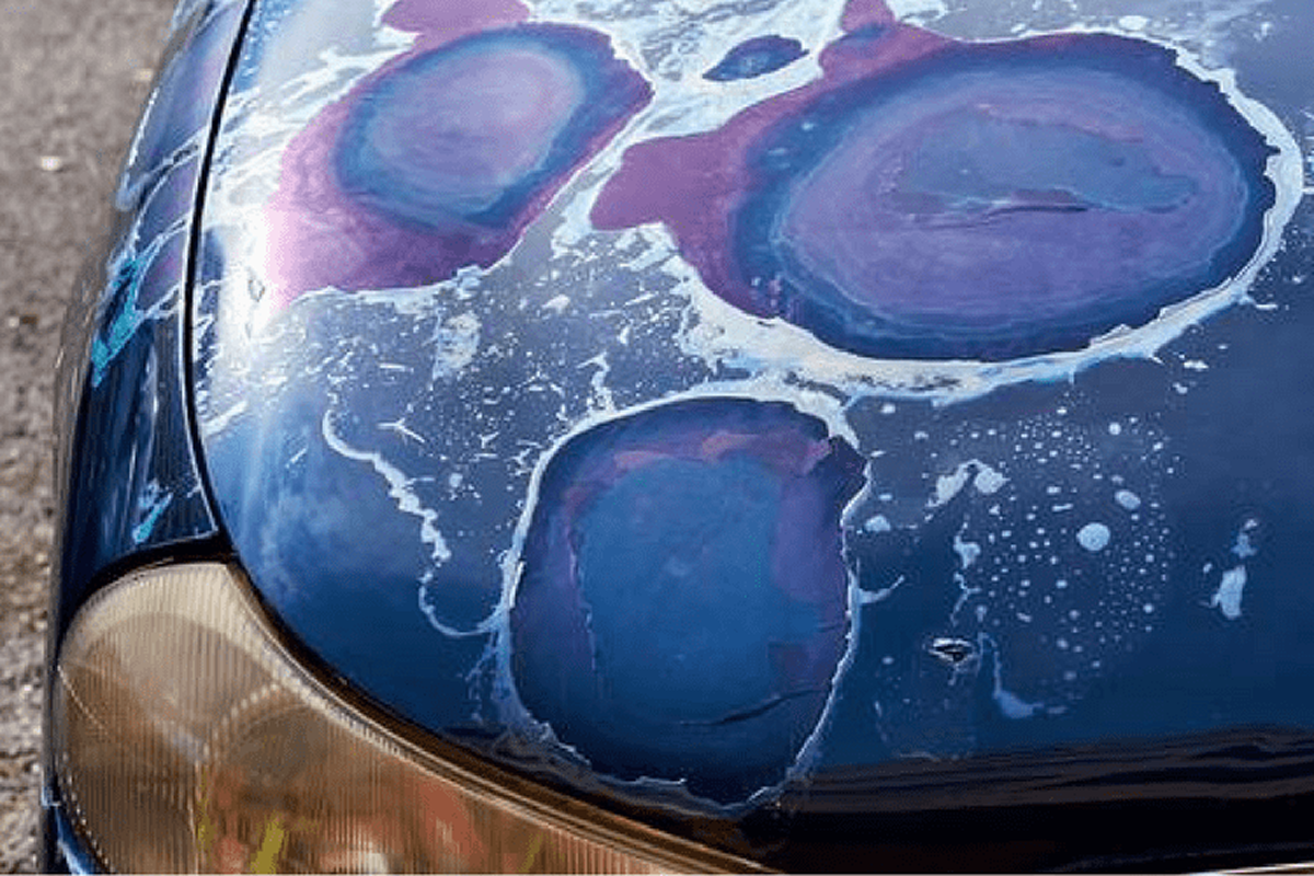 How to Protect Your Car’s Paint From Texas Sun Damage
