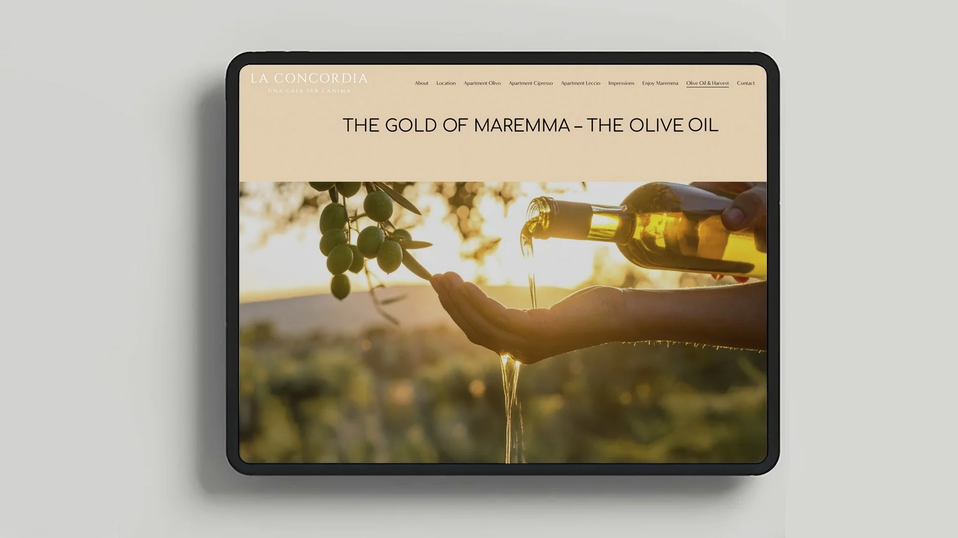 Smartphone-Display mit Webseite über Olivenöl, zeigt eine Hand, die Olivenöl aus einer Flasche in ihre offene Hand gießt, mit Olivenzweigen im Hintergrund bei Sonnenuntergang.