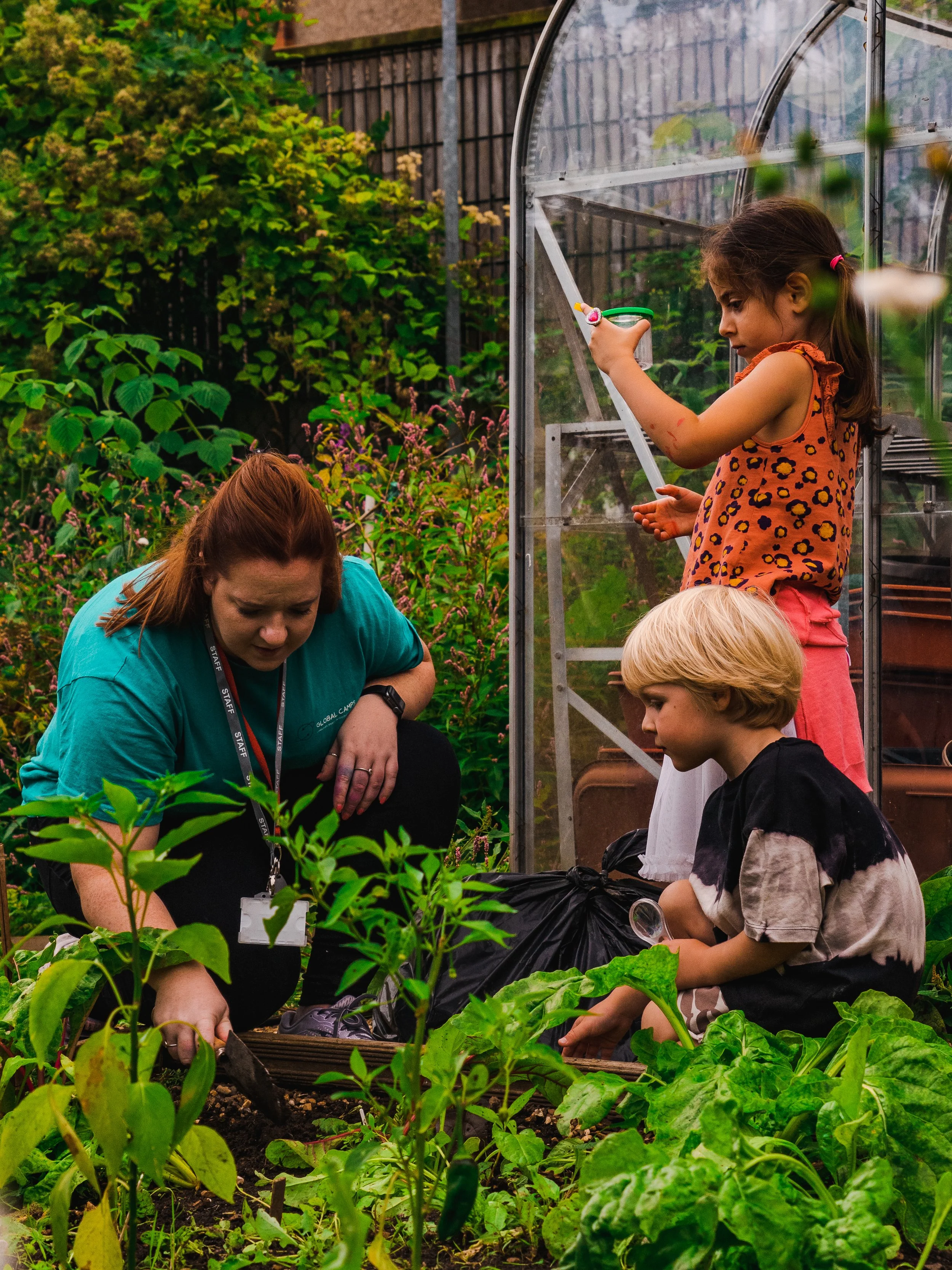 Children taking part in an insect investigation with an Activity Leader outdoors at Global Camps