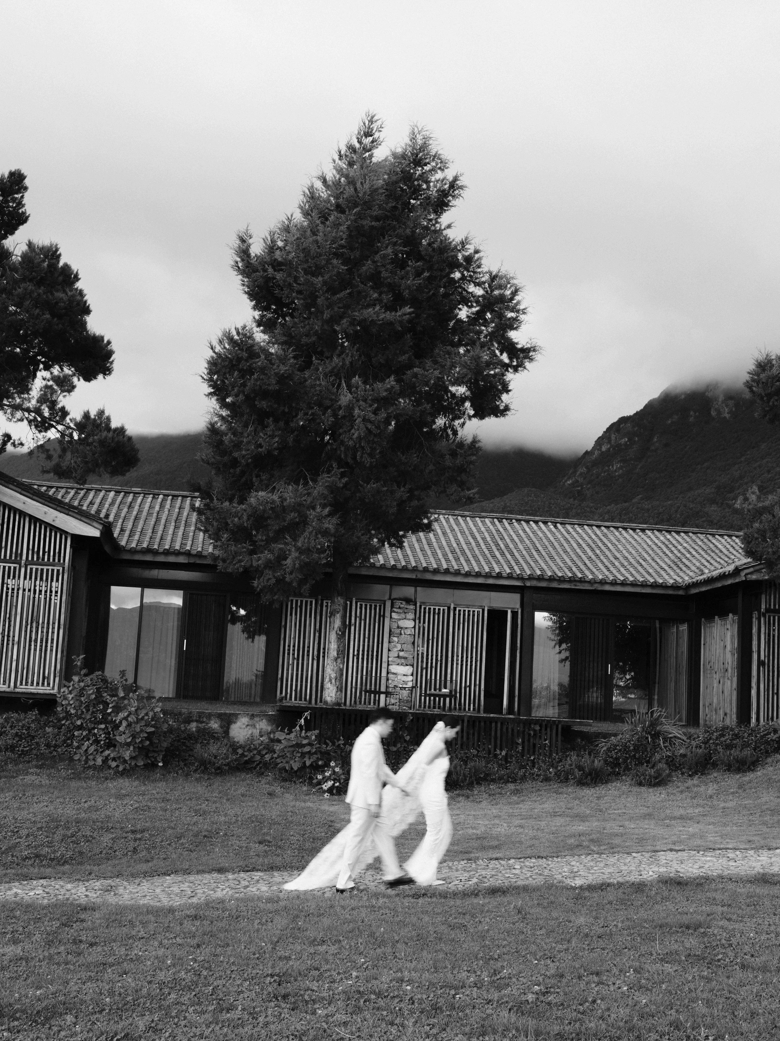 IANT0206.jpg