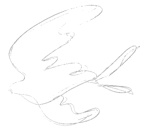 A simple line drawing of a butterfly with its wings spread open.