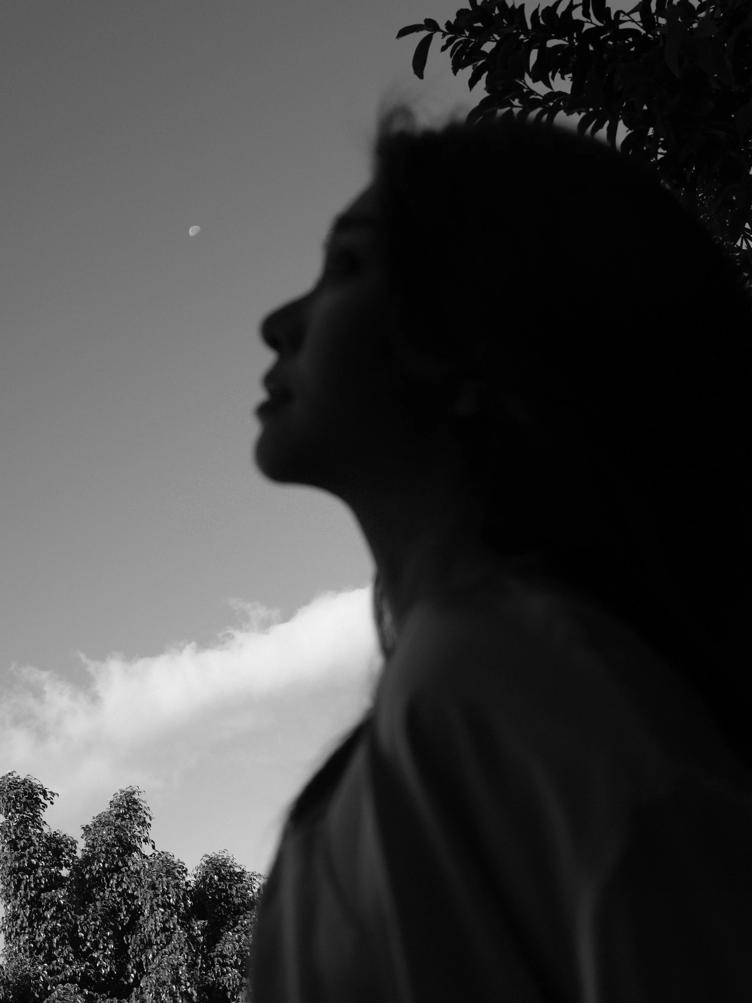 IANT0055.jpg
