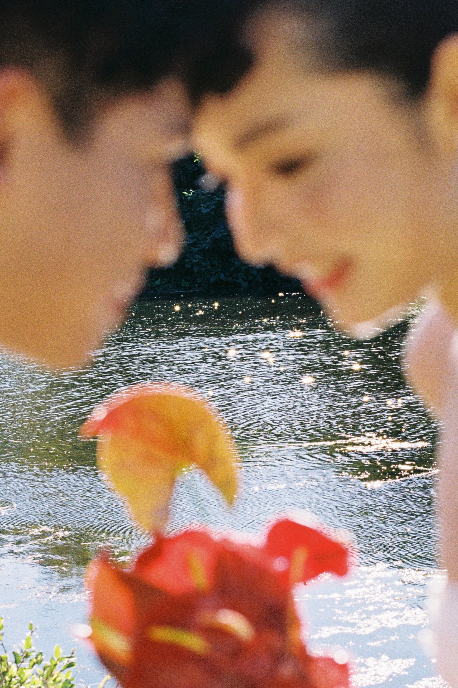 A blurry image of a person's face with flowers in the foreground, and a body of water with sparkles in the background.