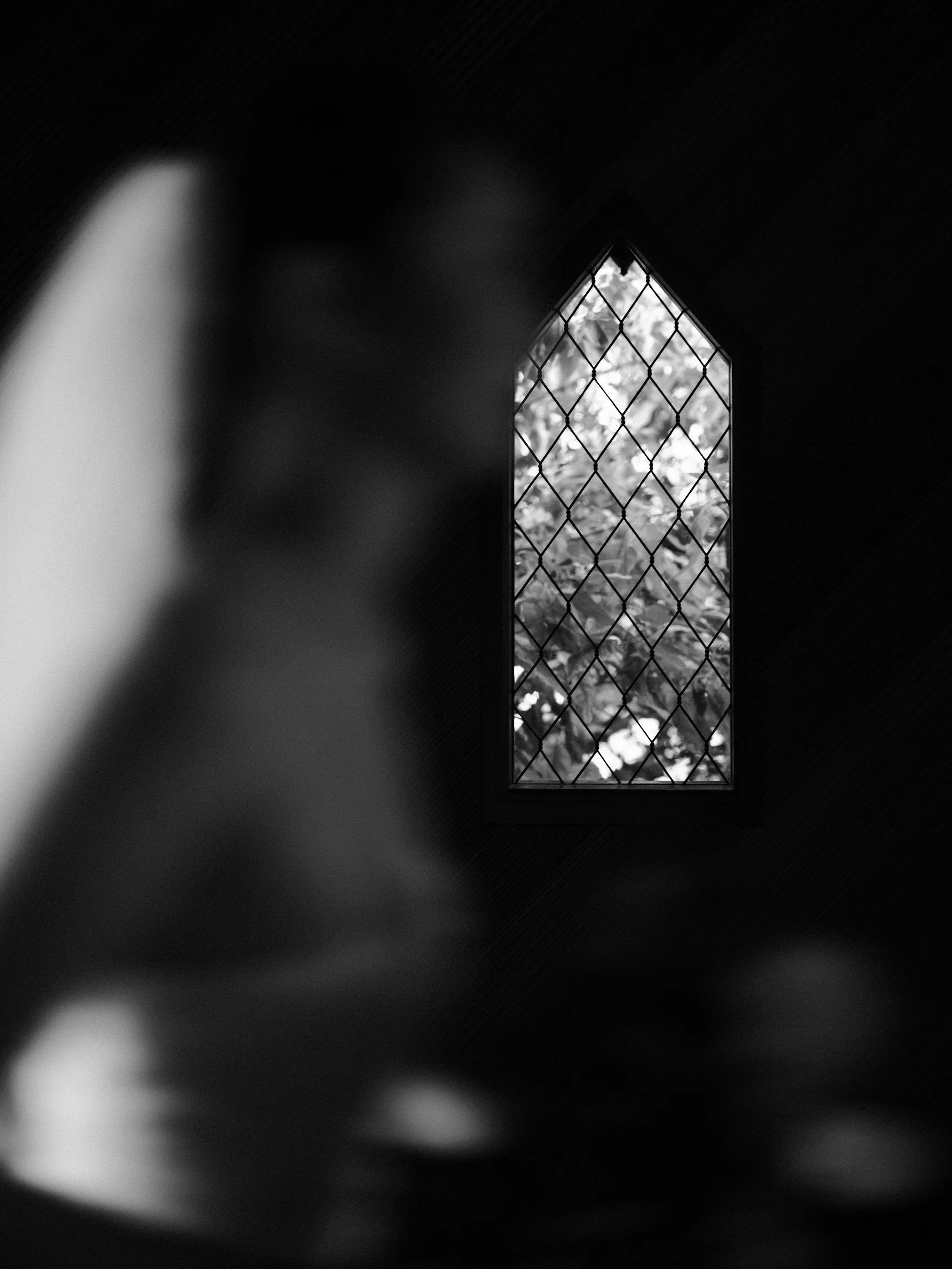 IANT0468.jpg
