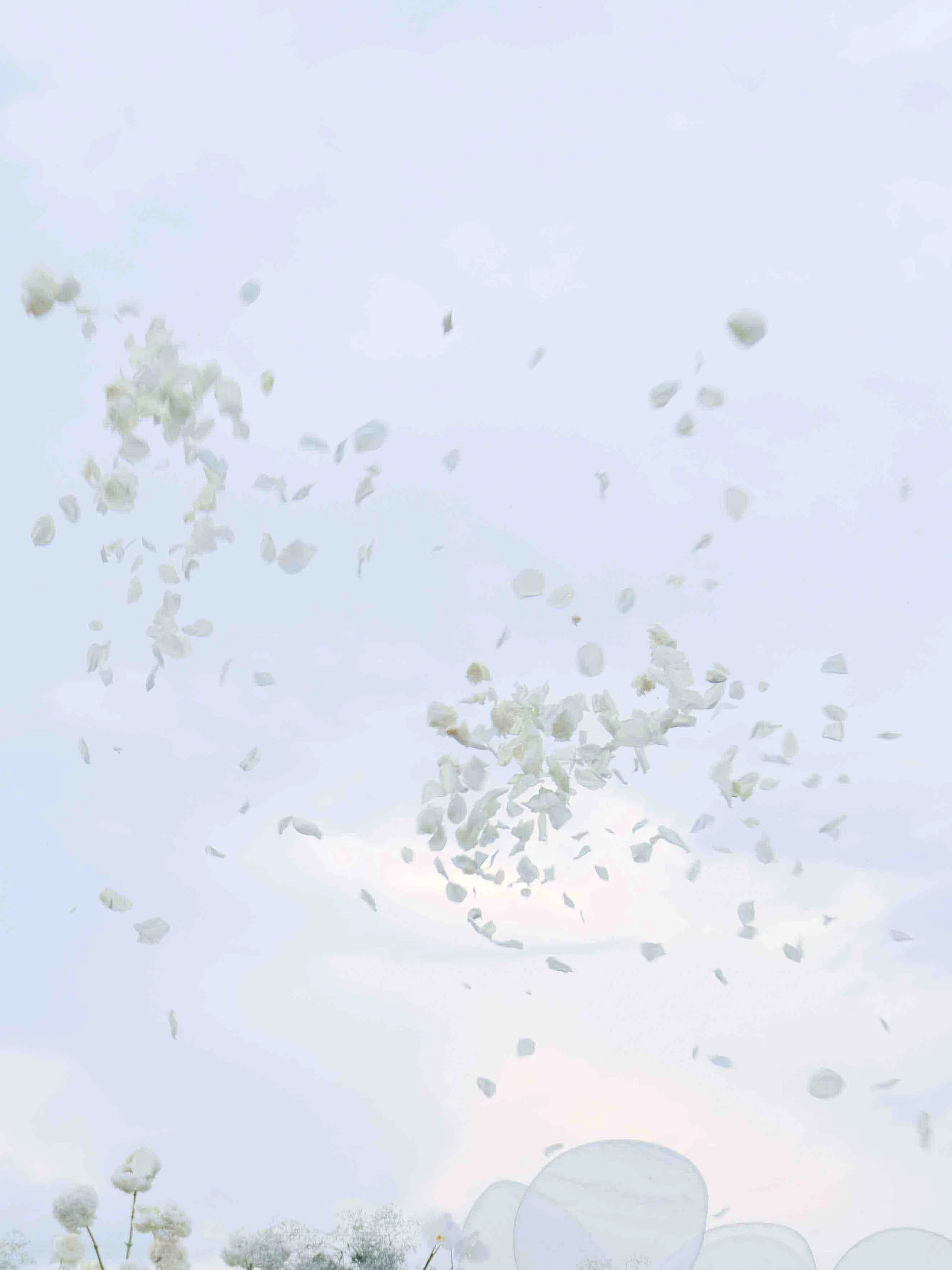 DSCF6405.jpg