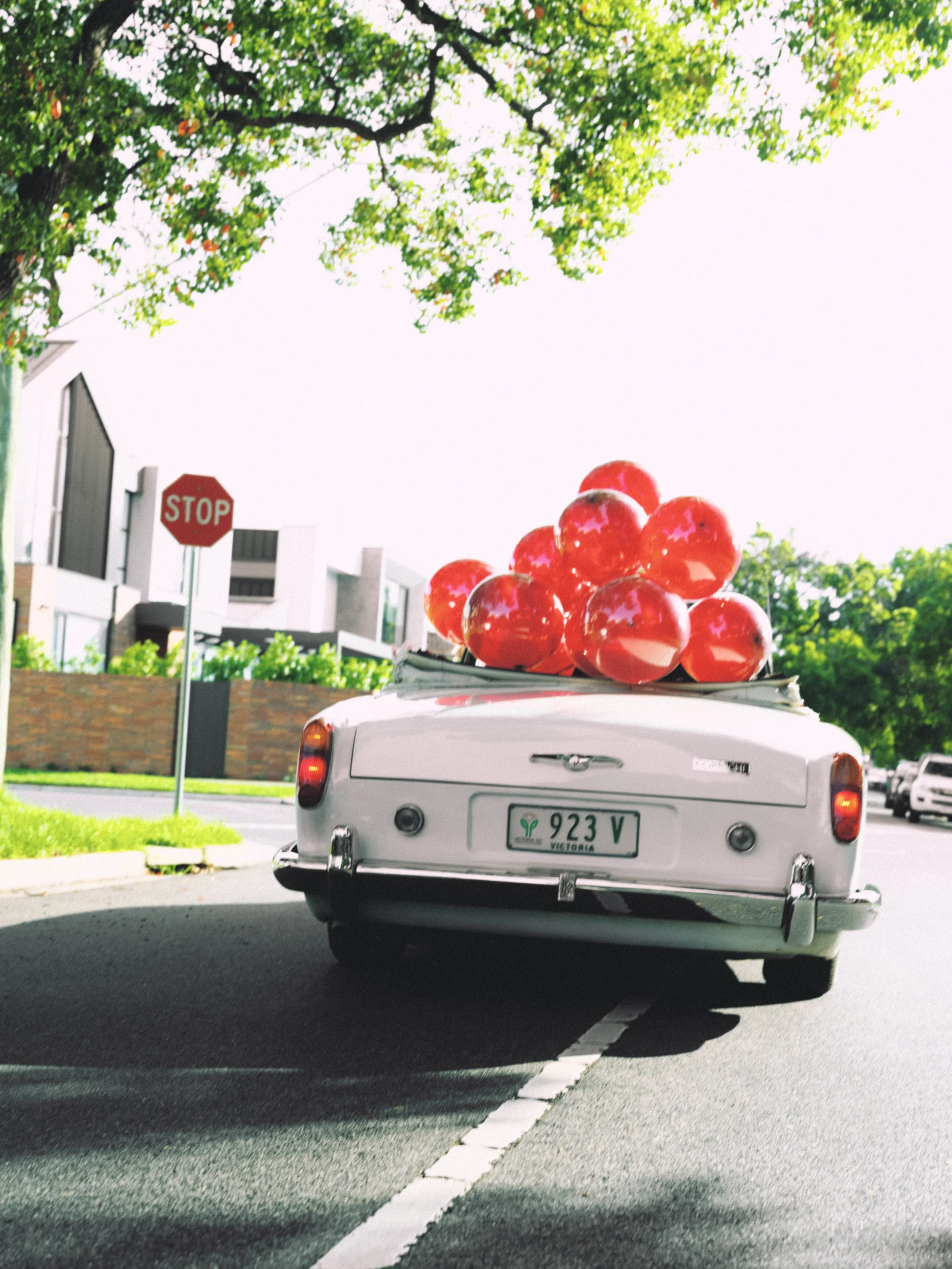 IANT0224.jpg