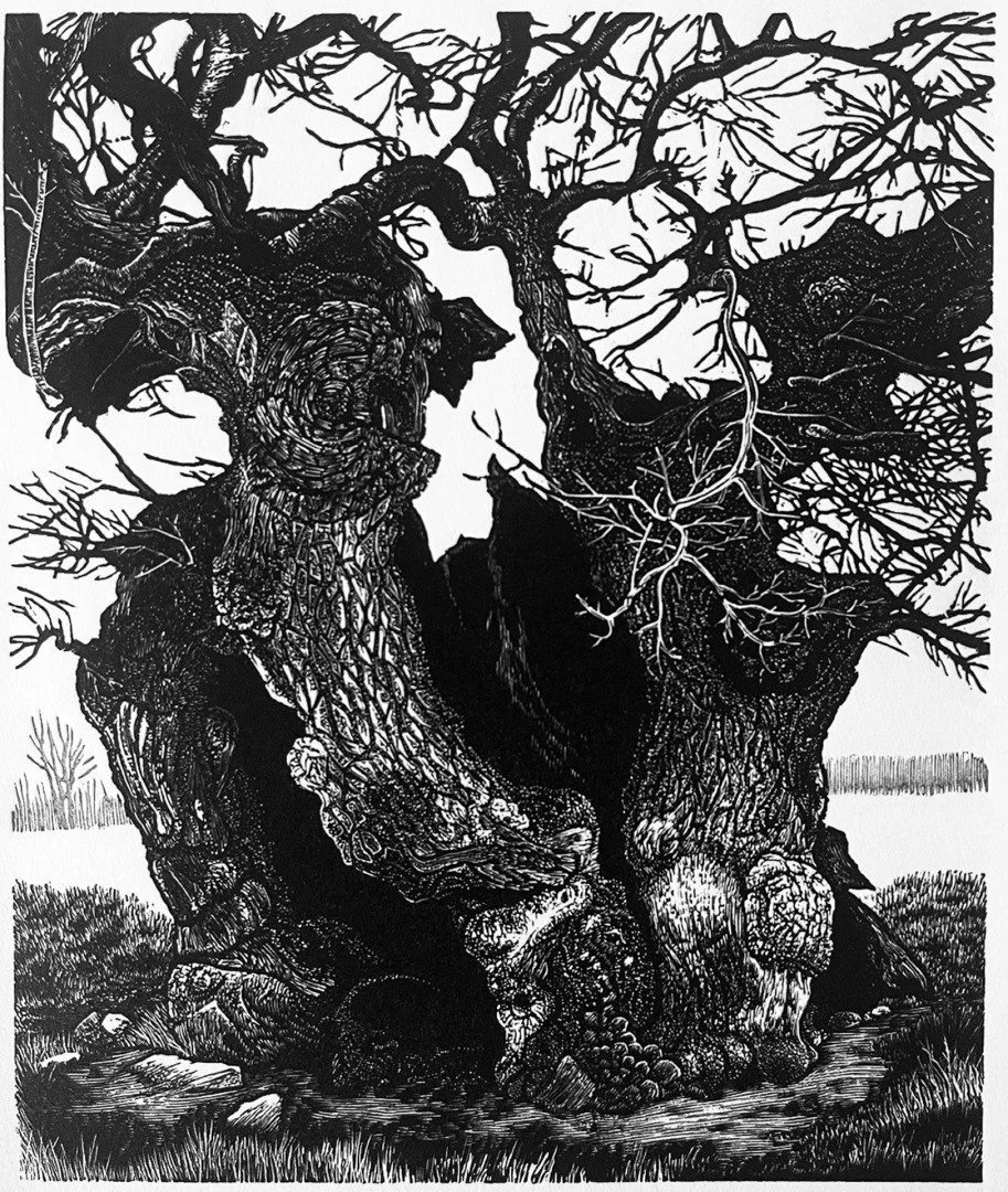   Pedunculate Oak     PRINTMAKING PRIZE WINNER 
 £260
 Blaze Cyan
 Wood Engraving on Paper
 Limited Edition No.13/100
 Framed Size: 28cm x 25cm x 3cm