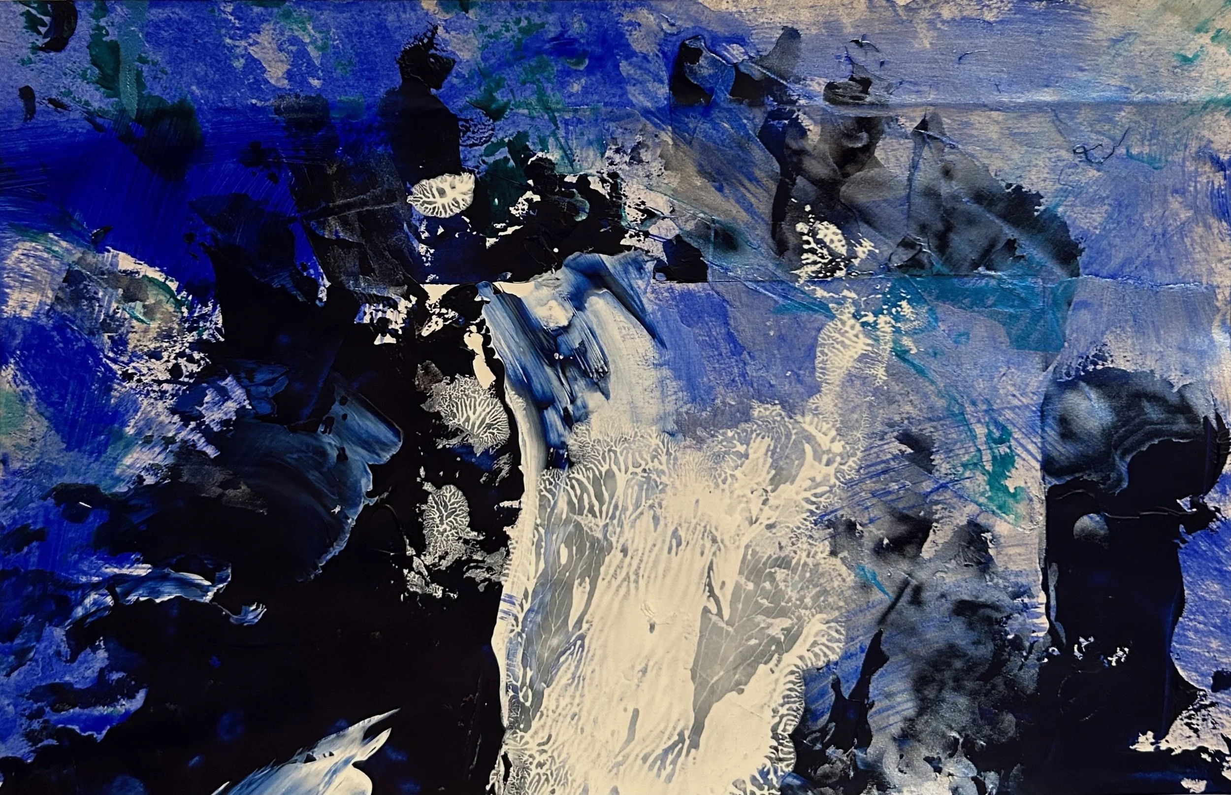 The Clear Seas_htoilet (mr)_11-1-25_FRONT.jpeg