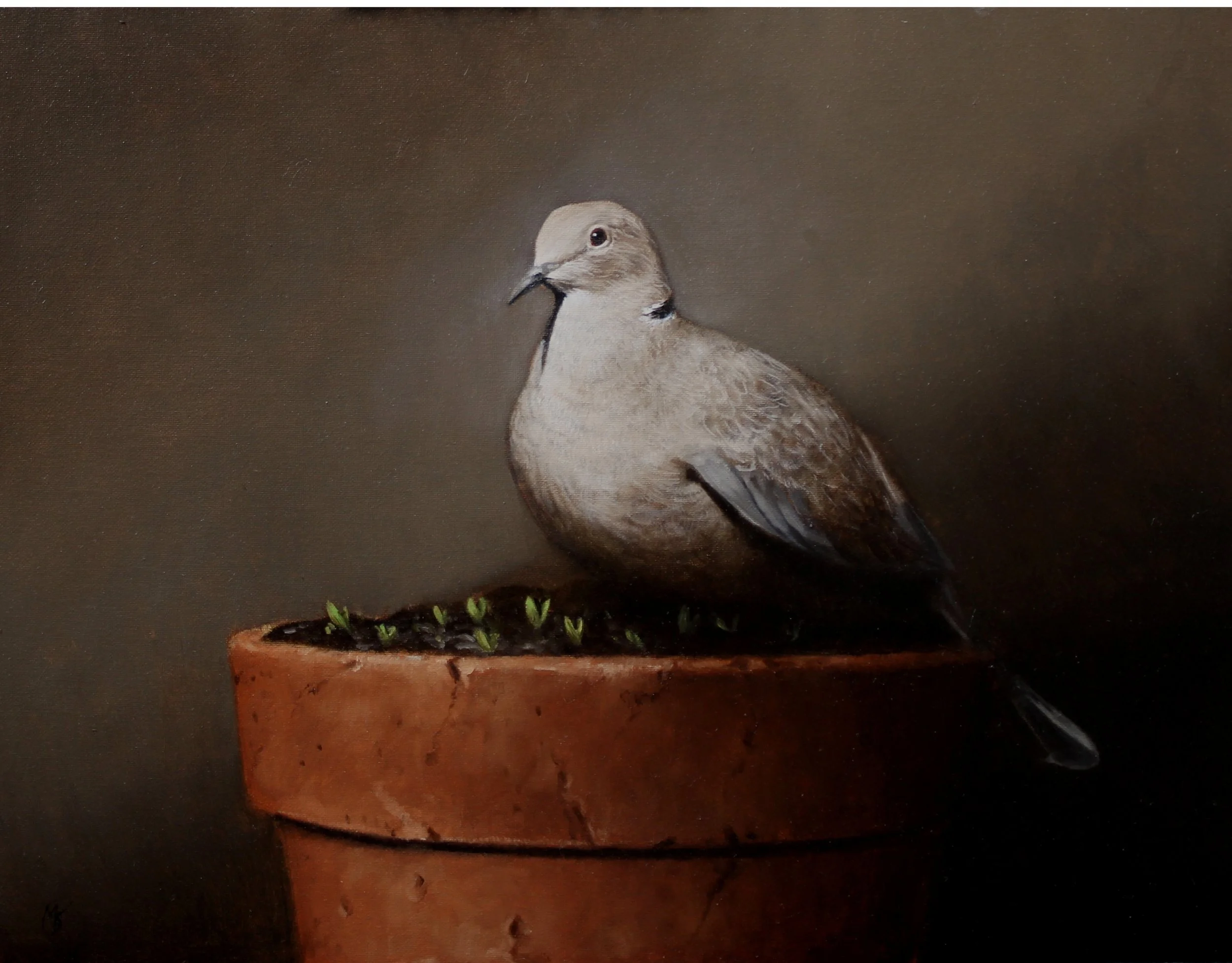  Eyes of Innocence 
 Oil on canvas board in black frame
 Painting: 29cm x 39cm
 Framed size: 41cm x 51cm