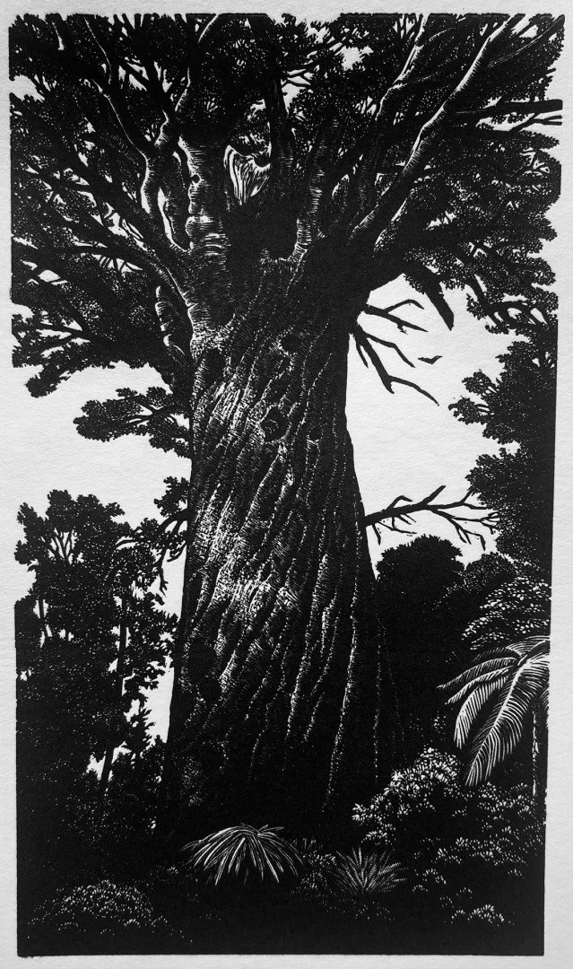   Kauri  
 £260
  Cyan
 Wood Engraving on Paper
  Edition No.14/100
  Size: 28cm x 25cm x 3cm