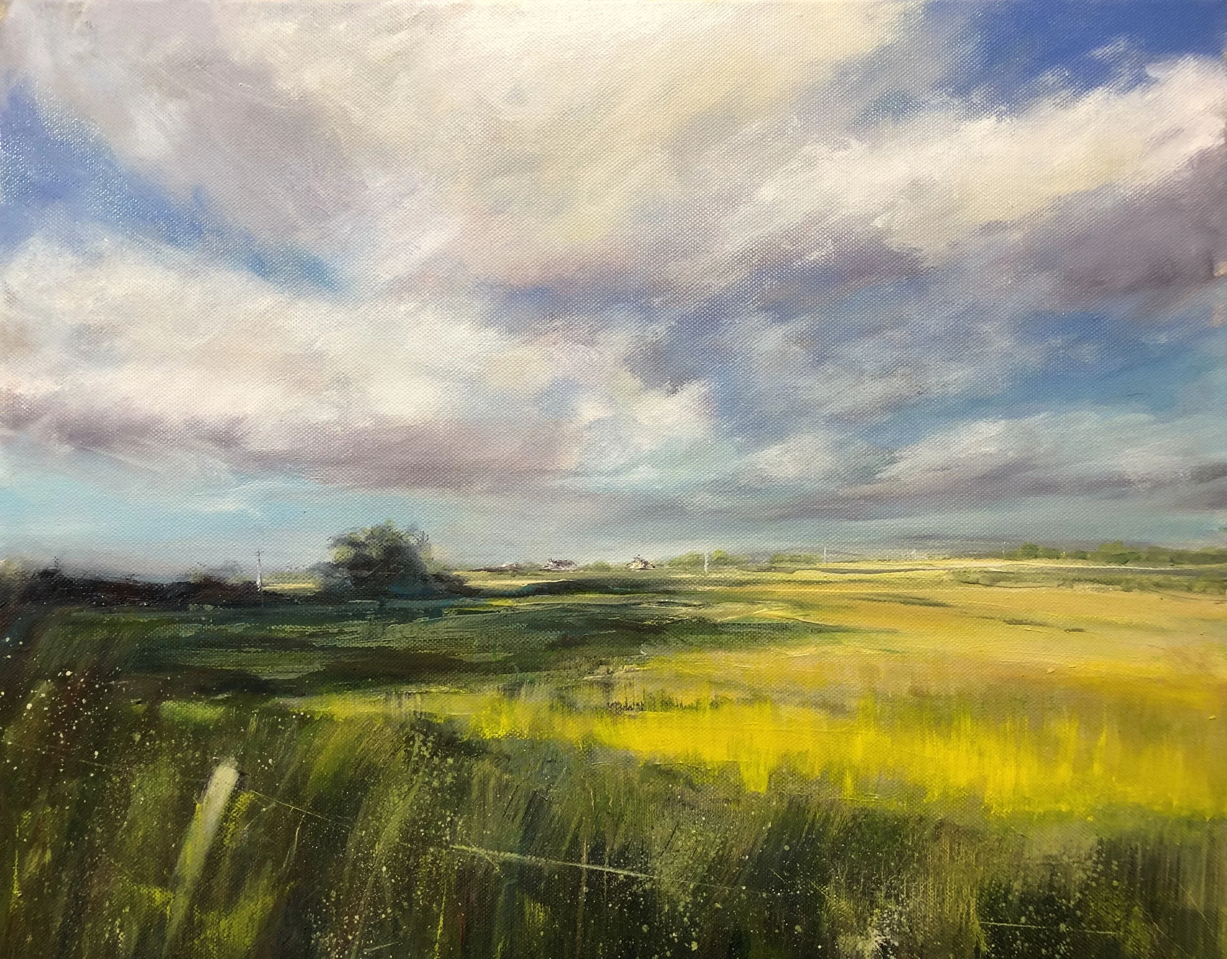 Positively Poised &nbsp;&nbsp;(Sold)
 Oil on Canvas
 Painting Size: 40cm x 50cm
 Framed Size: 55cm x 65 x 4.5cm