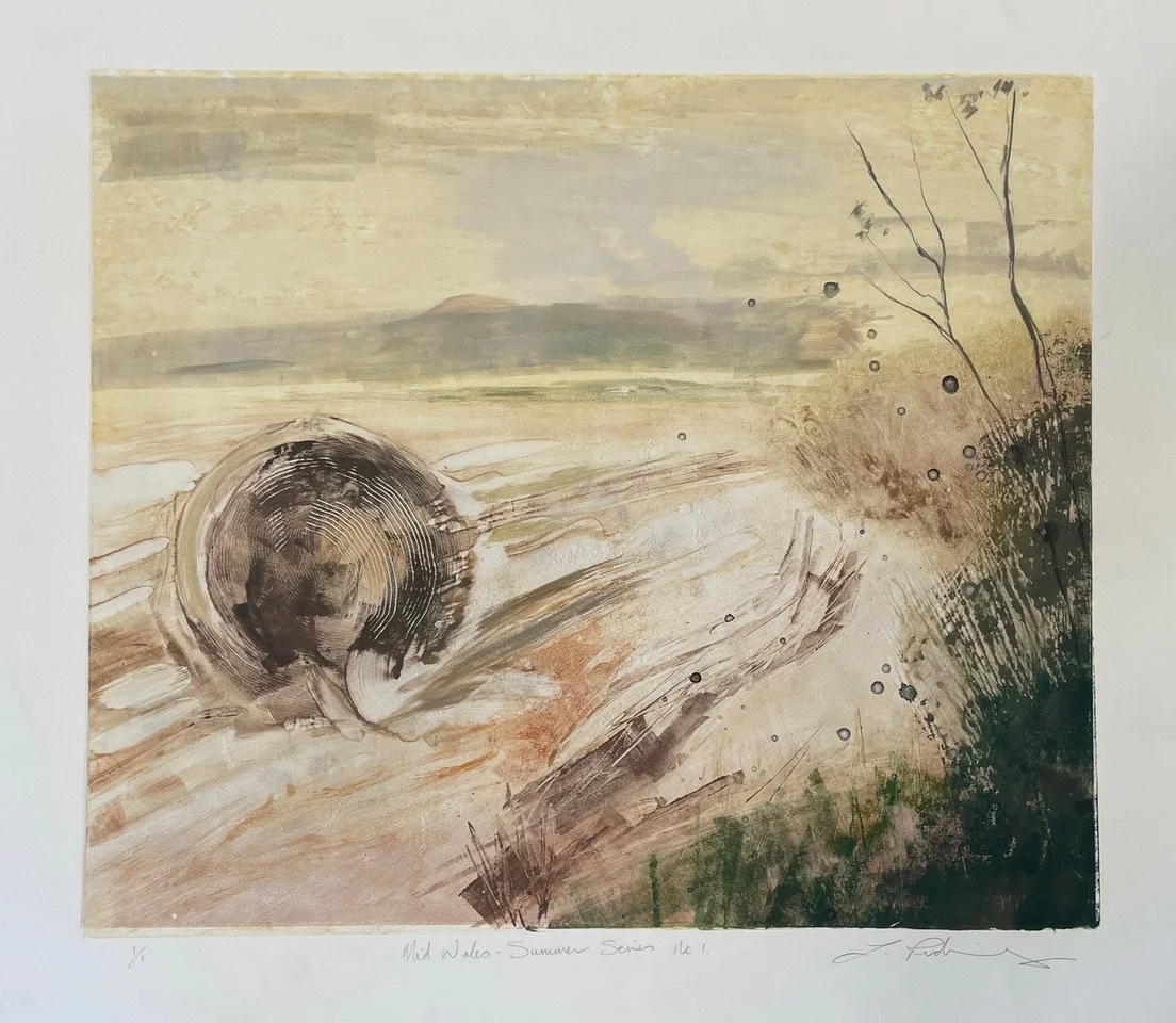  Mid Wales series Summer no 1.  - Monoprint with Drawing
 Print size 43 x 50cm 
 Framed:  63 x 71cm