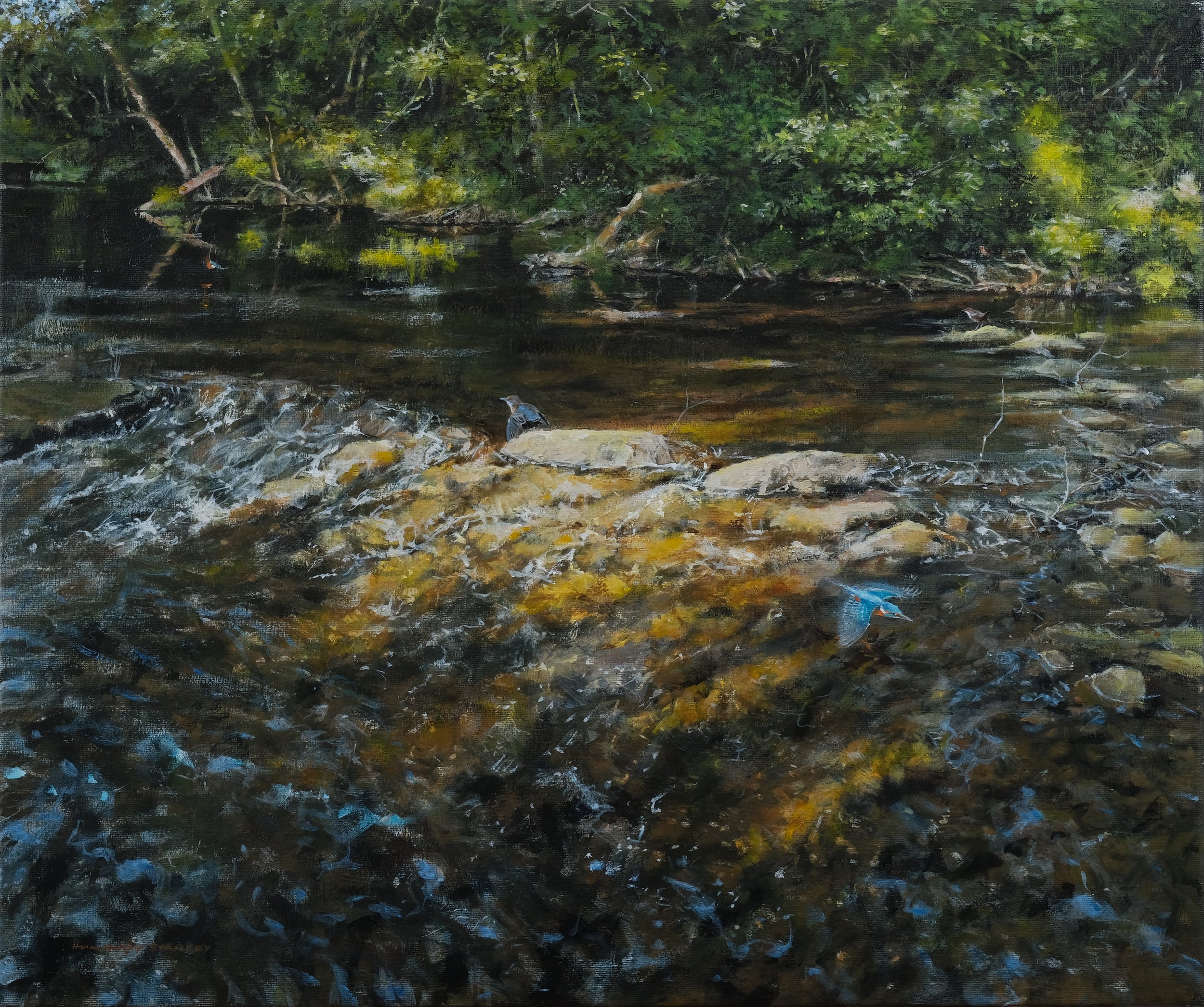  Two Kingfishers, Two Dippers River Monnow Tregate   crylic on Canvas
 Painting Size: 51.5cm x 62cm
 Framed Size: 55.5cm x 66cm x 3cm
