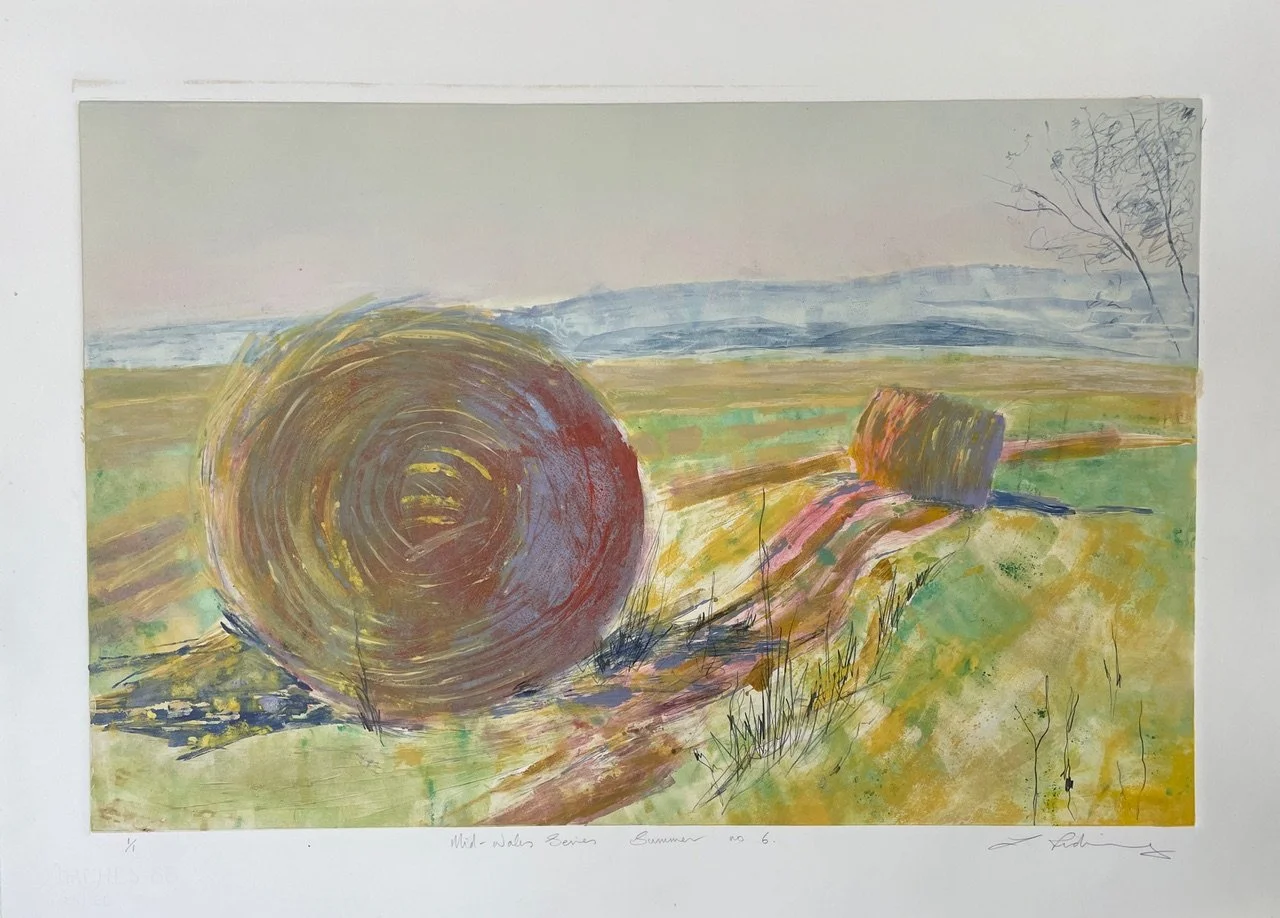  Mid Wales series Summer no 6.  - Monoprint with Drawing
 Print size 43cm x 66cm 
 Framed:  63cm x 83cm