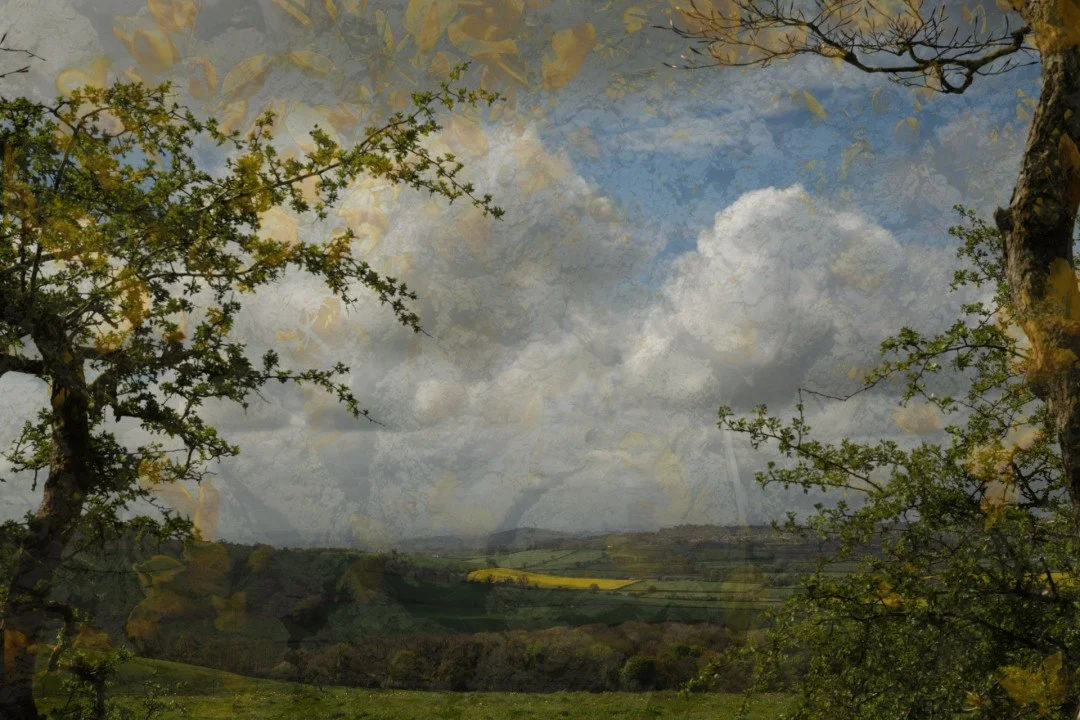   Tess Durbeyfield - From Innocence to Experience: Pure Vista  
 £400
 David Perkins
 Limited Edition Giclée Print on Hahnemuhle FineArt Baryta Paper
 Limited Edition No.14/25
 Framed Size: 33cm x 50cm x 3cm
