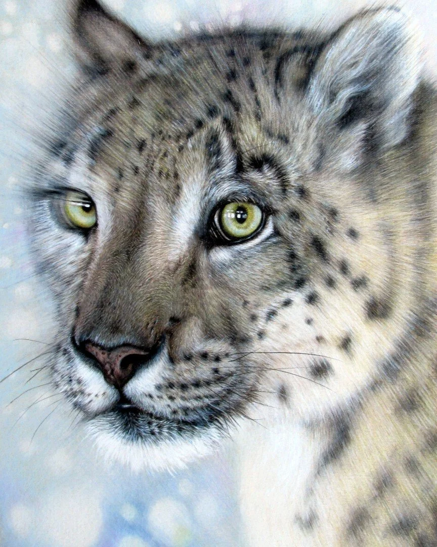  Vanishings  
 £800
 Jane Miller Robinson
 Coloured Pencil & Acrylic Paint on Paper
 Framed Size: 50cm x 40cm x 3cm