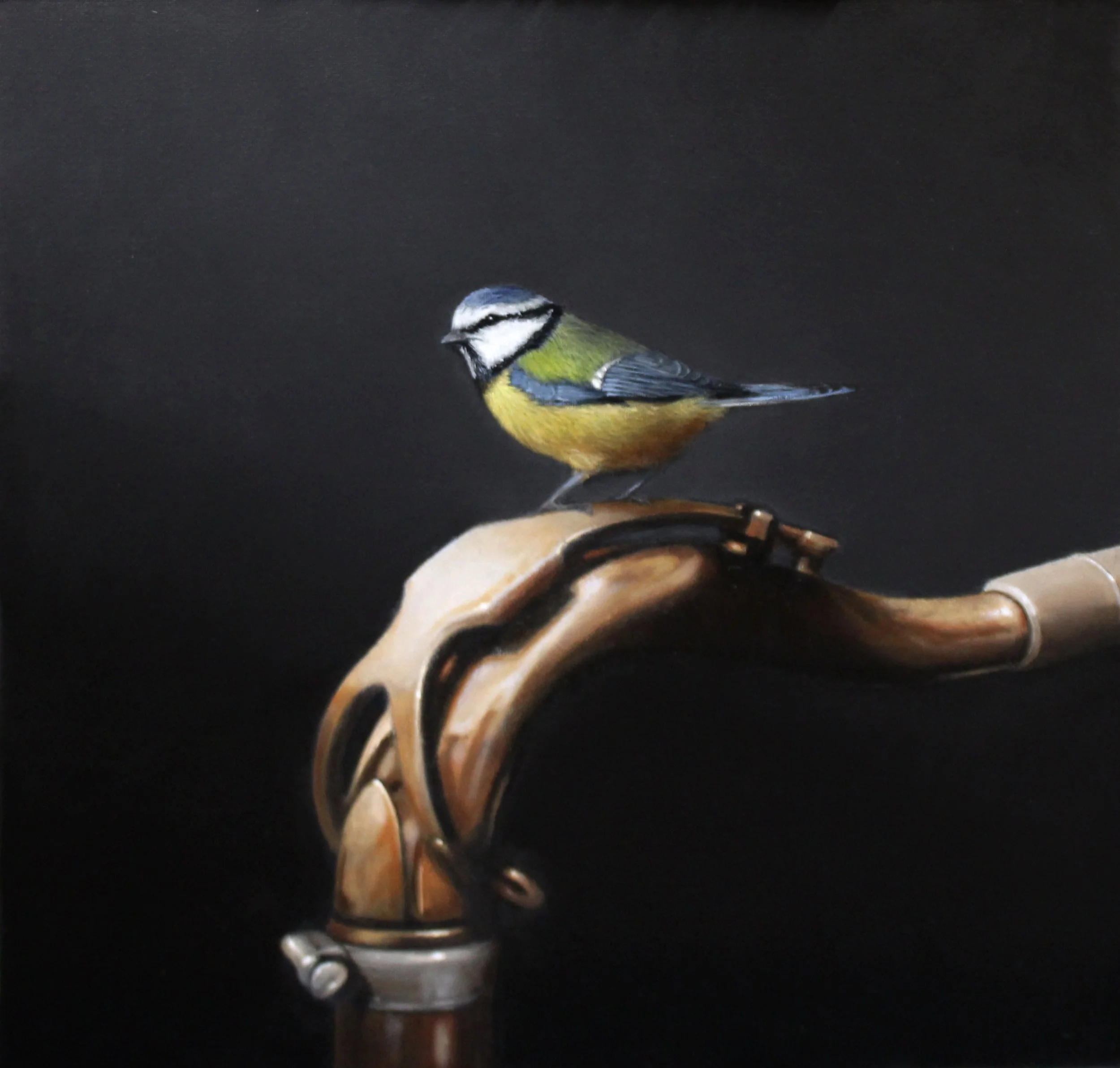  Blue Tit on a Sax 
 Oil on Canvas Board
 Painting Size: 29 x 29cm
 Framed Size: 40 x 40 x 4.5cm
