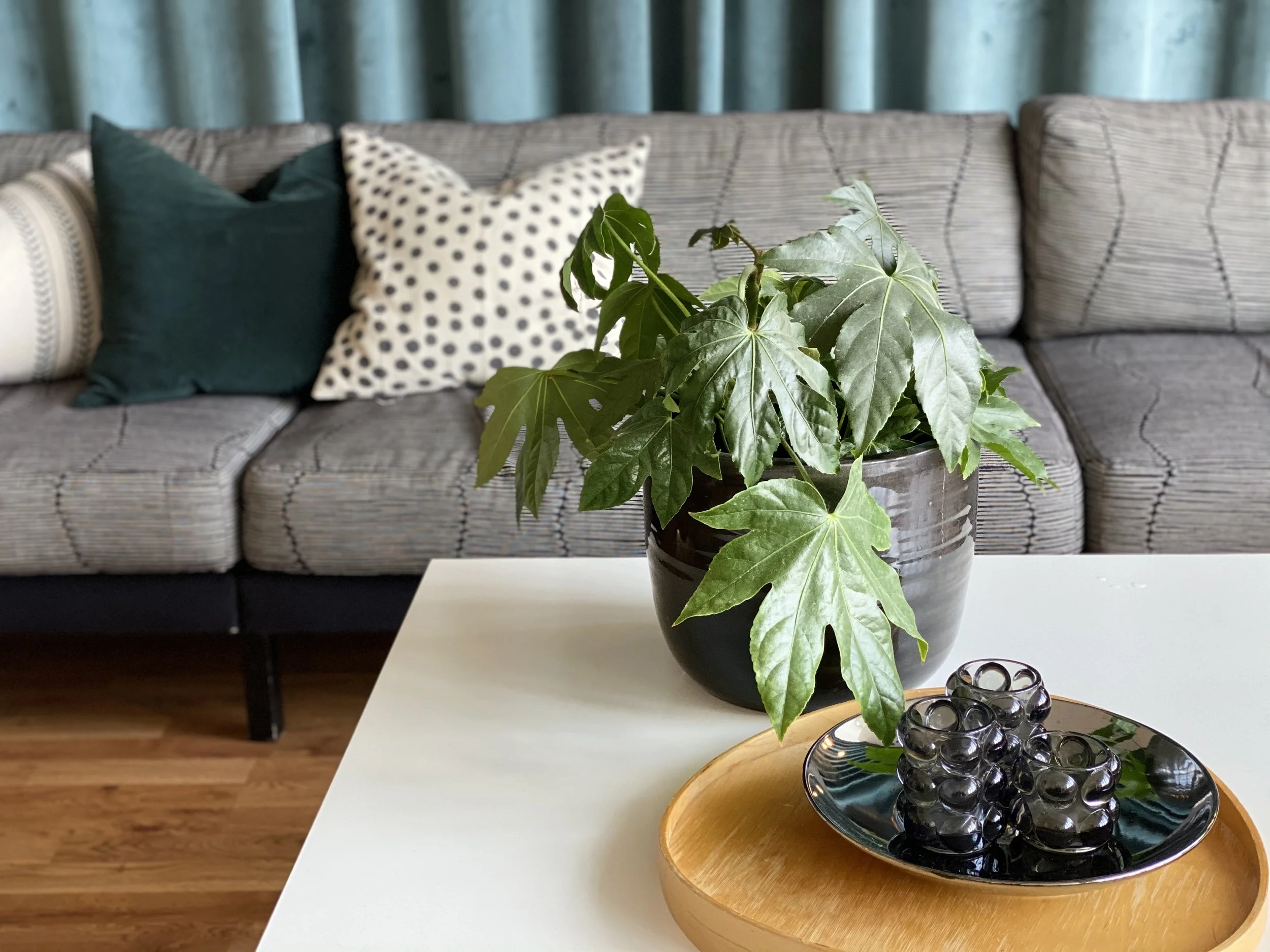 inredningsdetalj inkclub soffa närbild på växt och bricka med återbrukad soffa