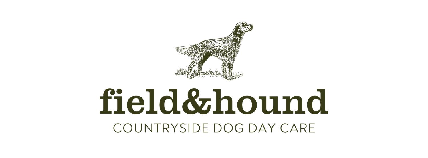 Field &amp; Hound Dog Walking