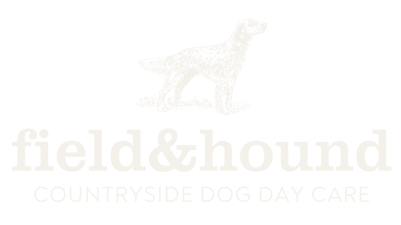 Logo for Field & Hound, a country-style dog day care service, featuring a white illustration of a dog standing on grass on a black background with the text 'field & hound' and 'COUNTRYSIDE DOG DAY CARE'.