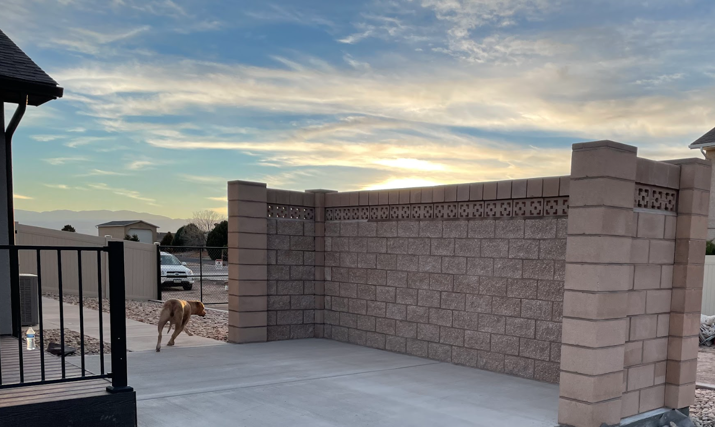 A backyard with a concrete patio, a brown dog walking, a brick wall with decorative blocks, a black fence, and a shed at sunset.