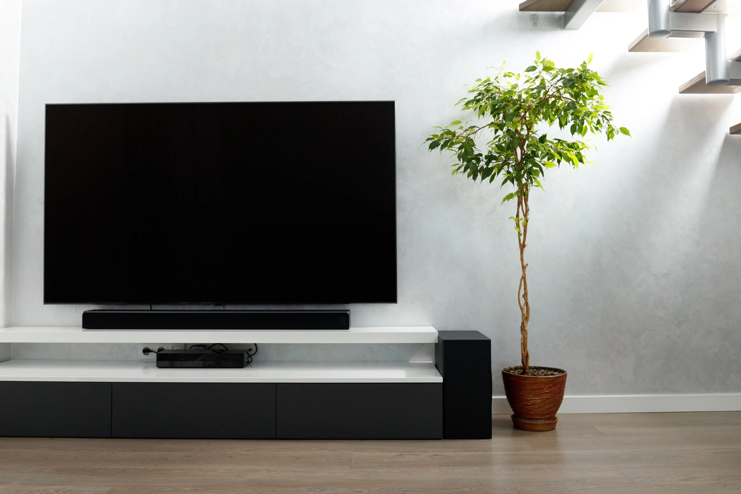 Modern living room with a large flat-screen TV on a white and black TV stand, and a tall potted tree next to it.