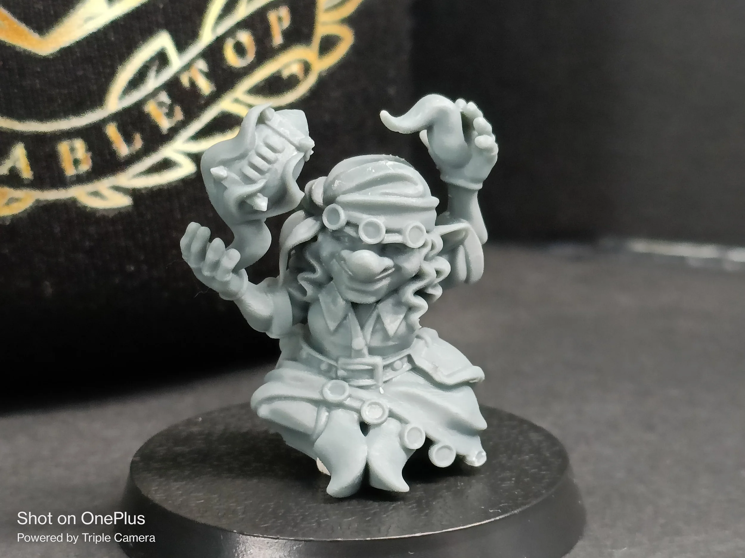 Gray plastic miniature of a pirate goblin with long curly hair, wearing goggles, holding a flask in one hand and a petal or leaf in the other. The goblin is dressed in a pirate outfit with a vest, belt, and skirt. It stands on a round black base.