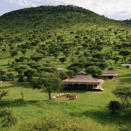 Green hillside with sparse trees and a large house at the base, surrounded by open grassy land.