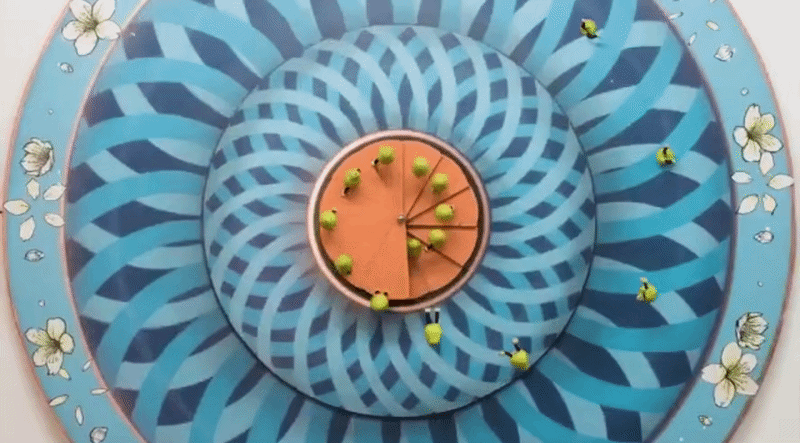 insa gif 2.gif