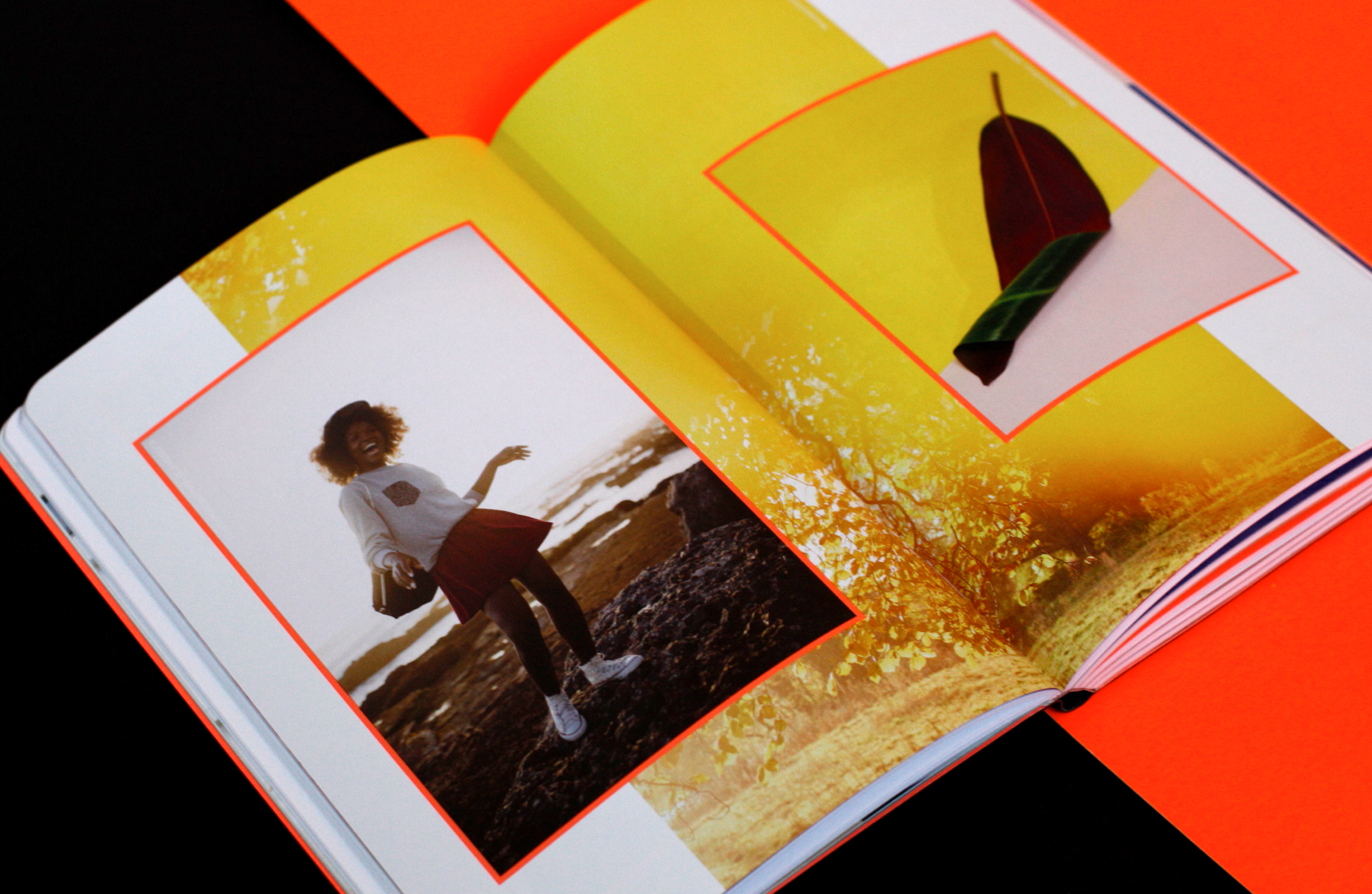 Portfolio0034 1 Copy 4@2x.png