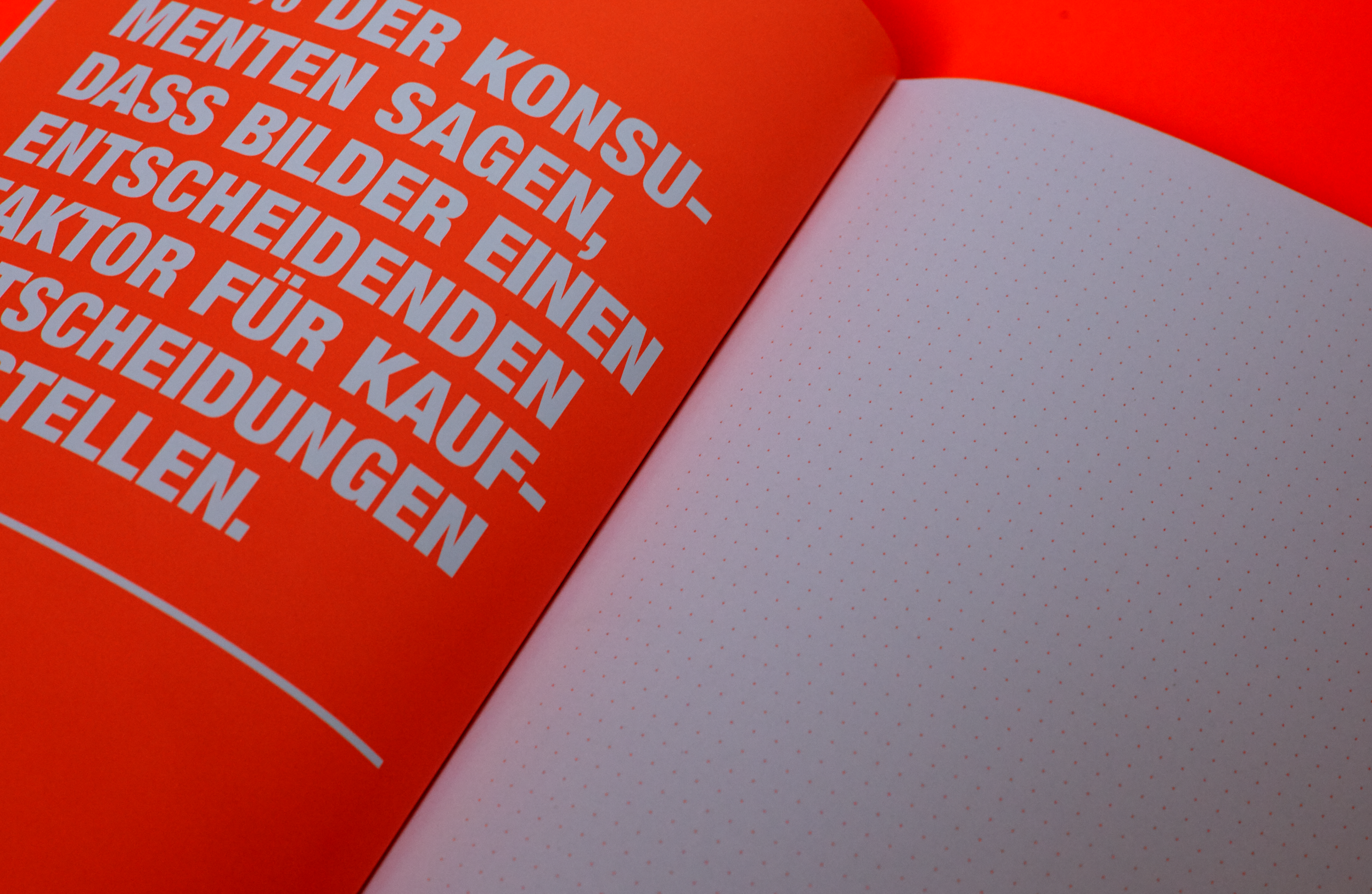 Portfolio0034 1 Copy 5@2x.png