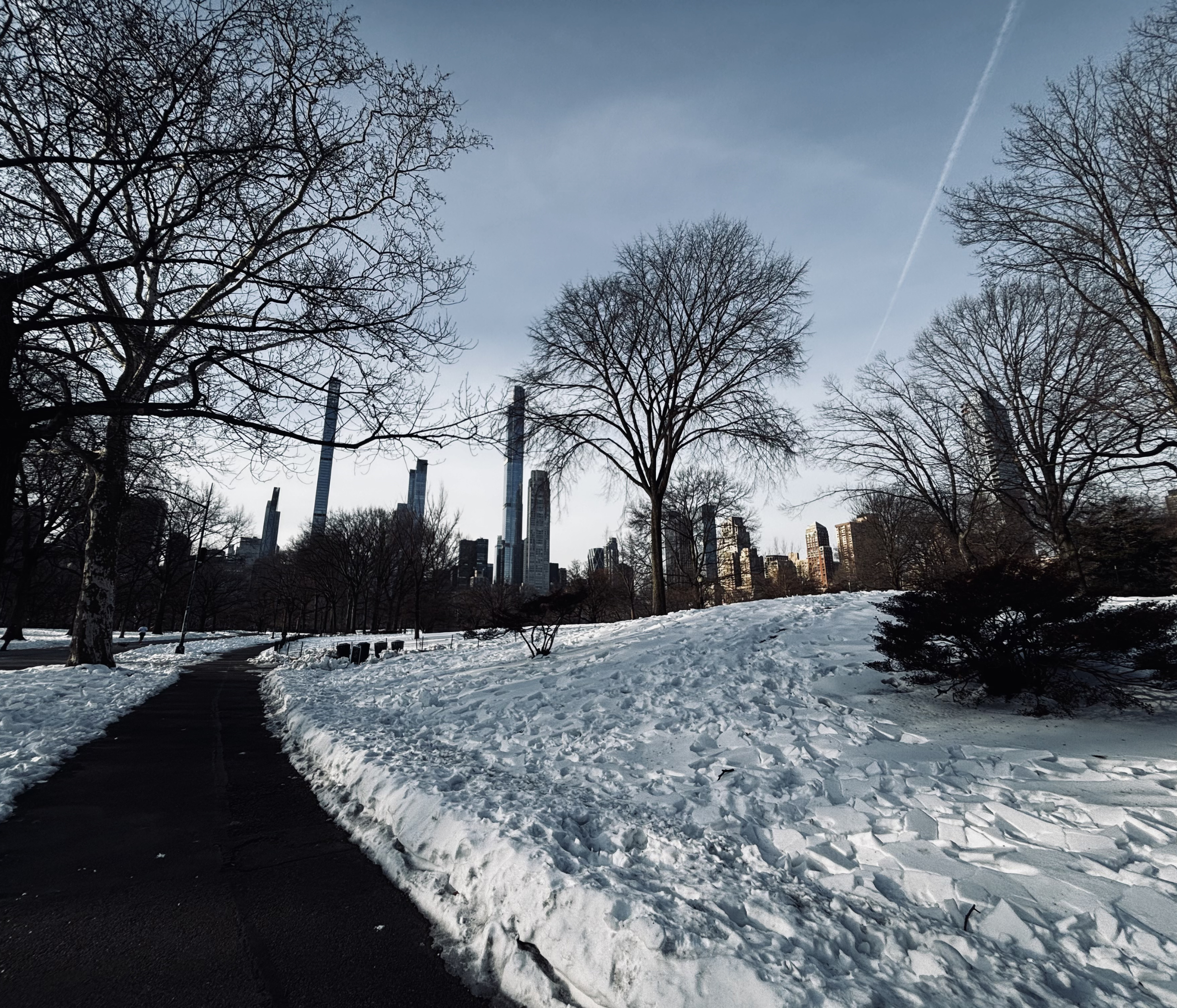 Central Park, New York, USA covered in snow