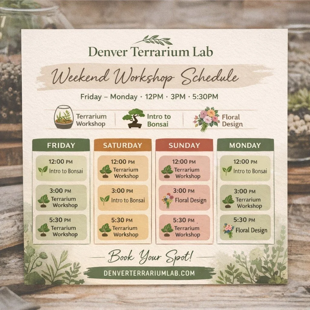Weekend workshop schedule for Denver Terrarium Lab featuring terrarium workshop, intro to bonsai, and floral design from Friday to Monday.
