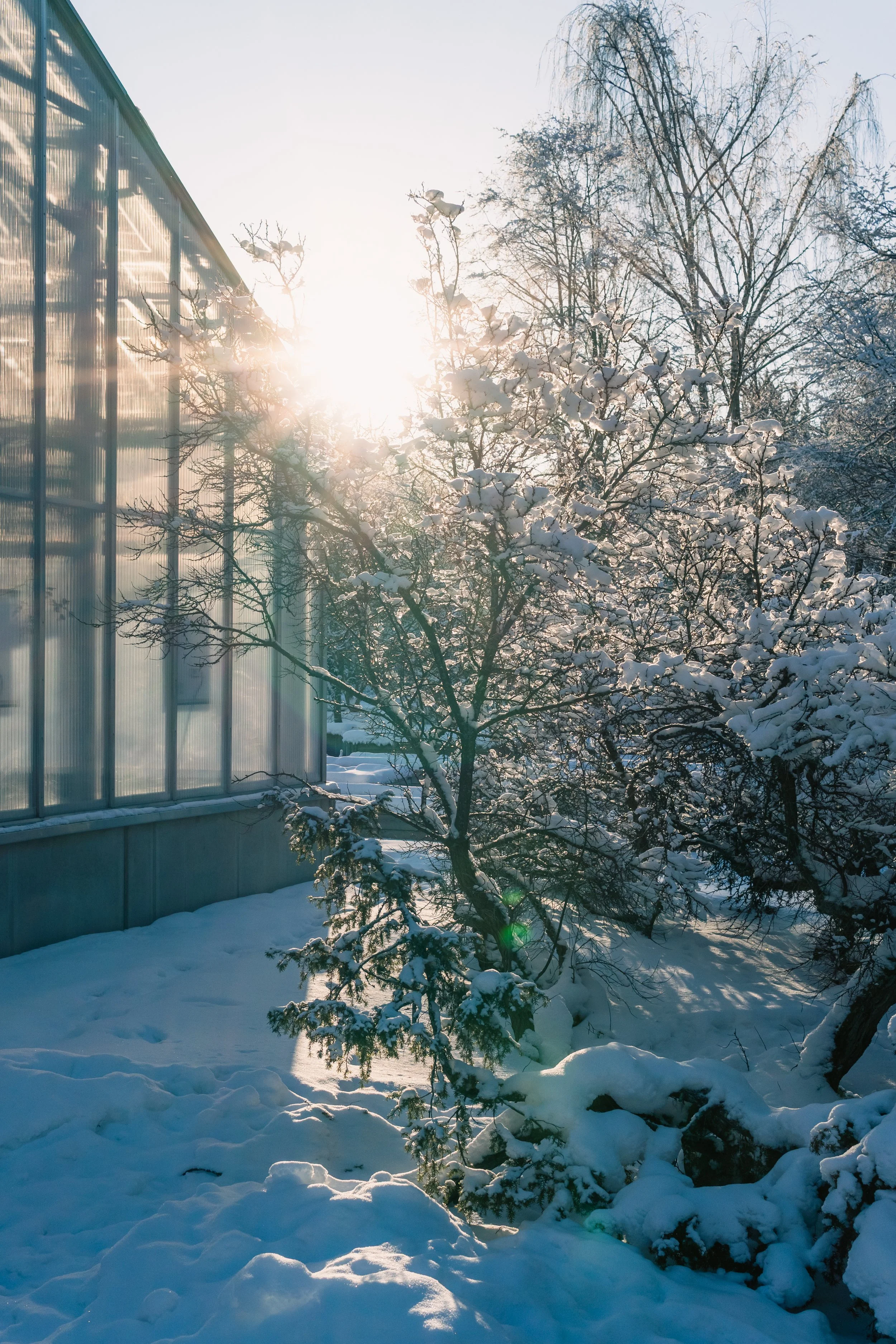 Botania, kuvaaja Karoliina Gavrilov